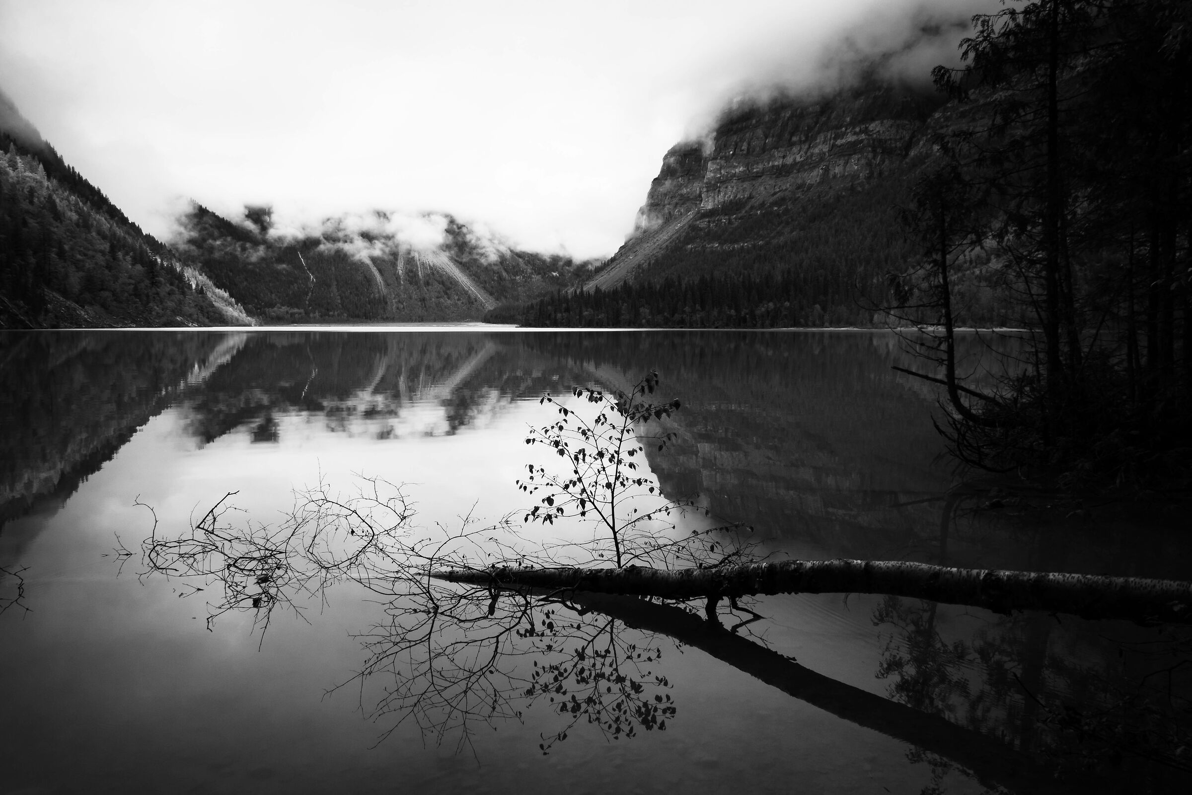 Reflections in B&N 2