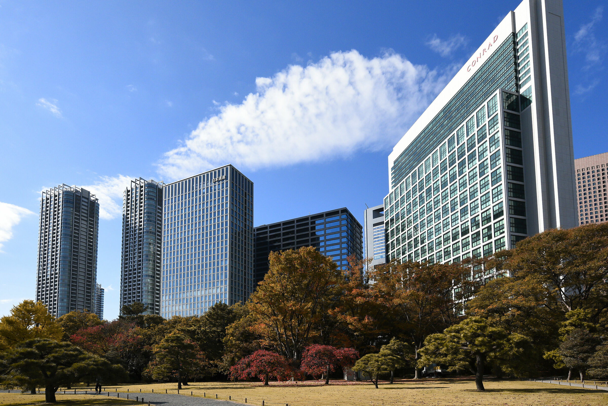 From Hama-rikyu Garden Japan