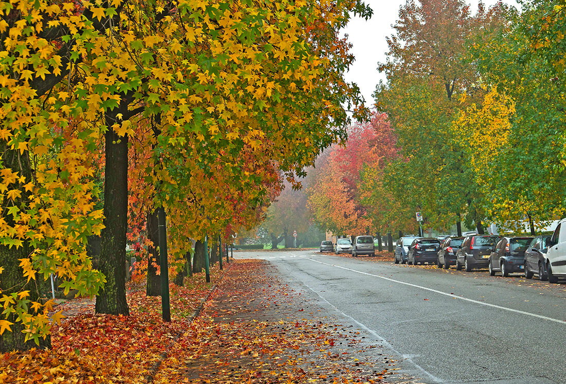 Cremona in veste autunnale