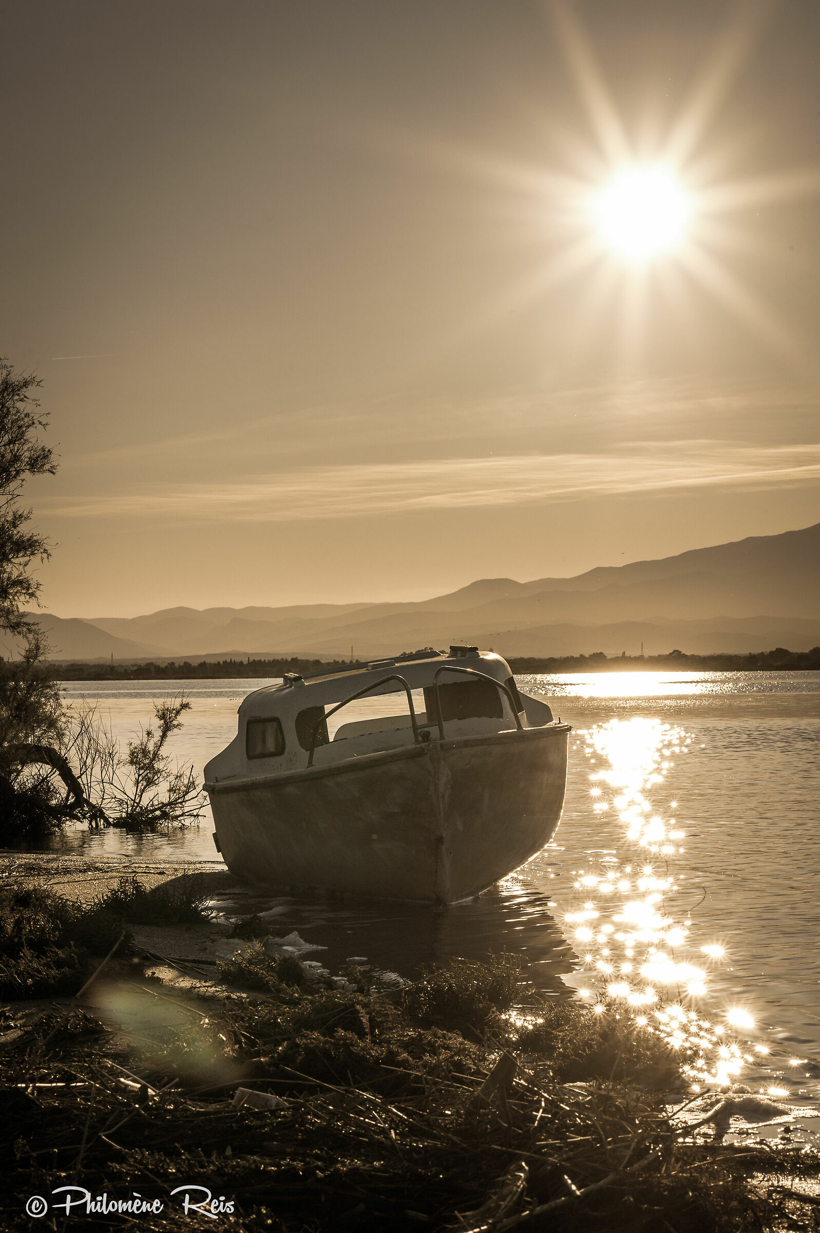 Abbaiare vicino a un lago