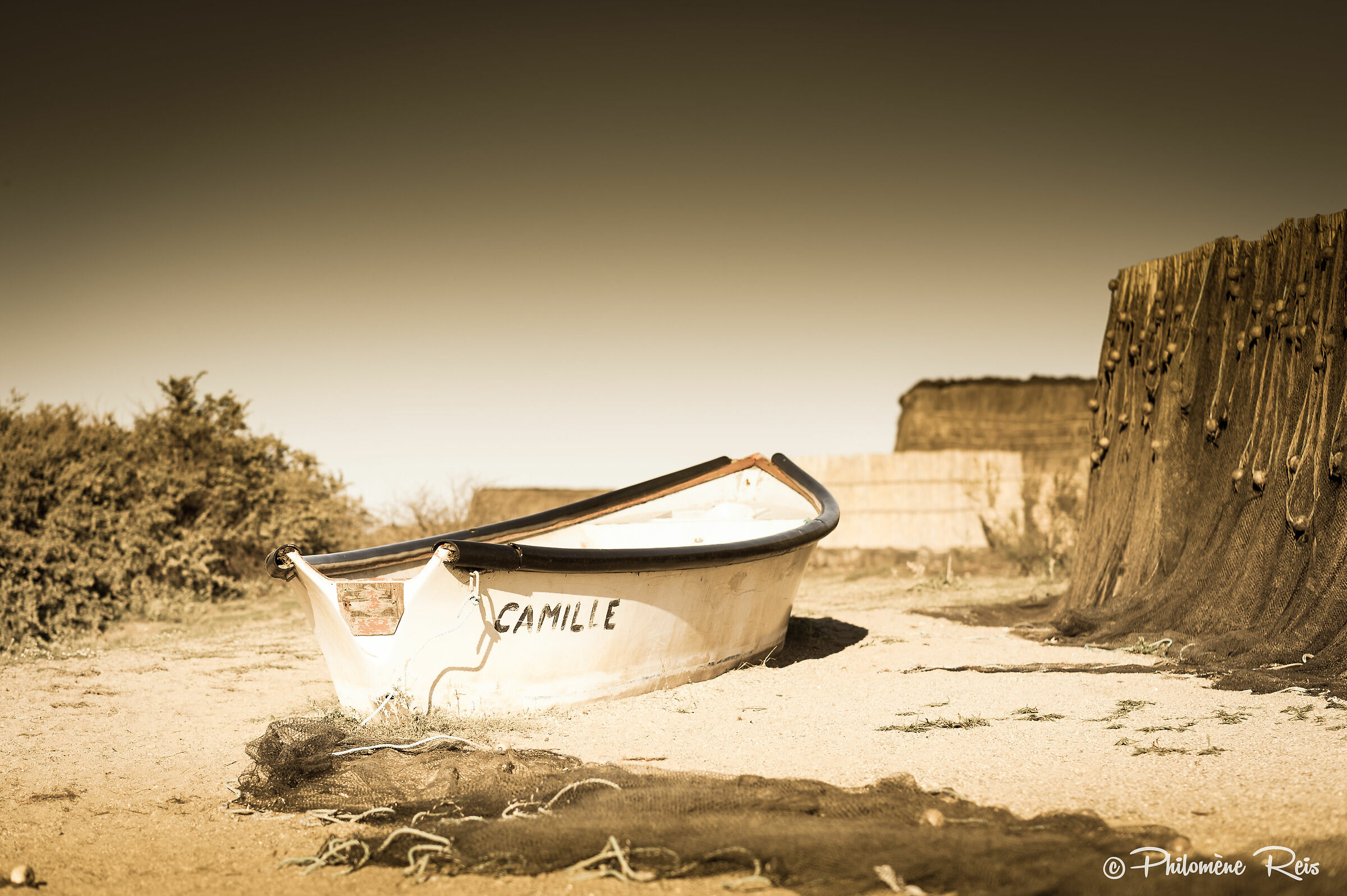 Abbaiare vicino a un lago