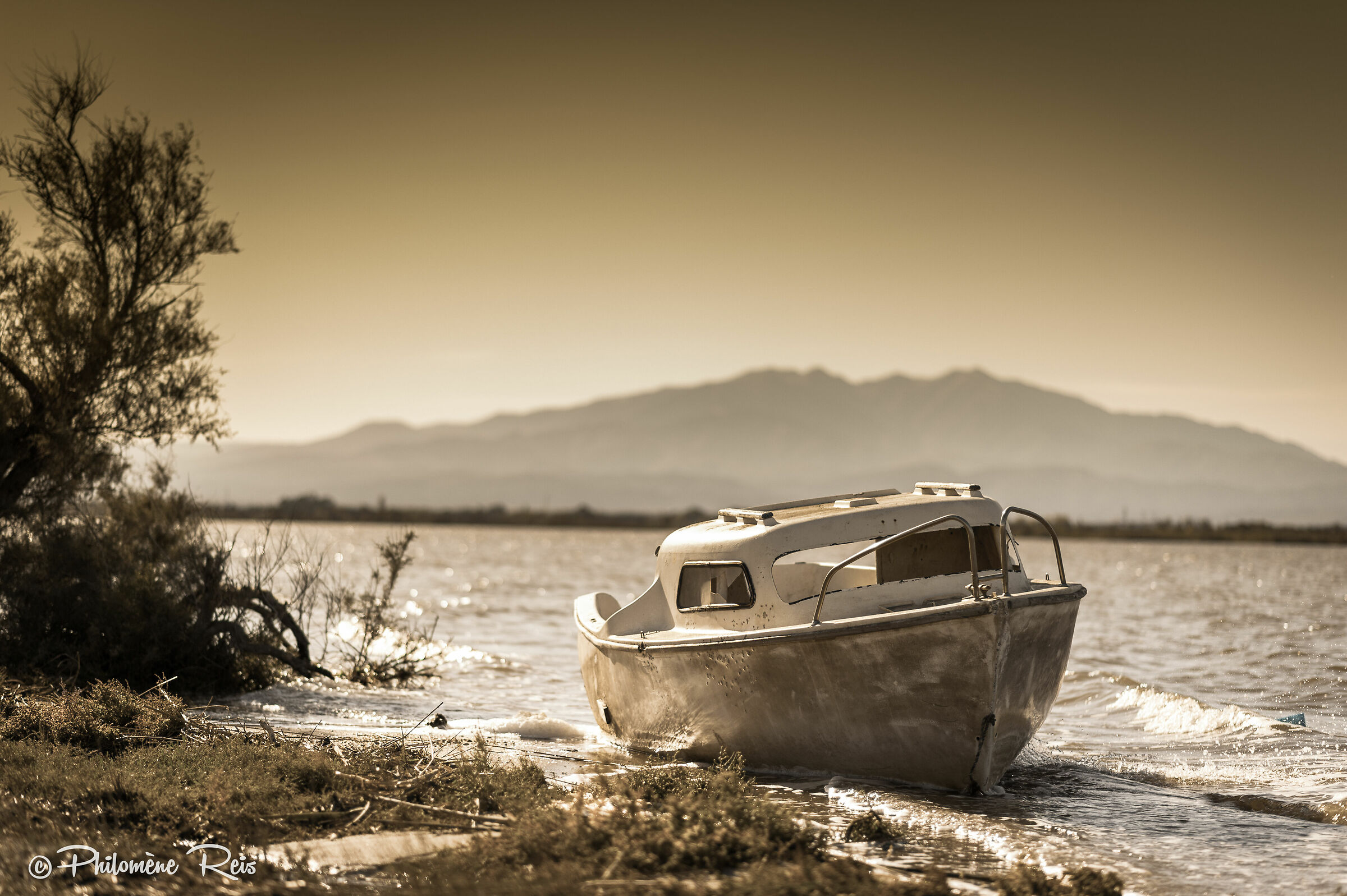 Abbaiare vicino a un lago