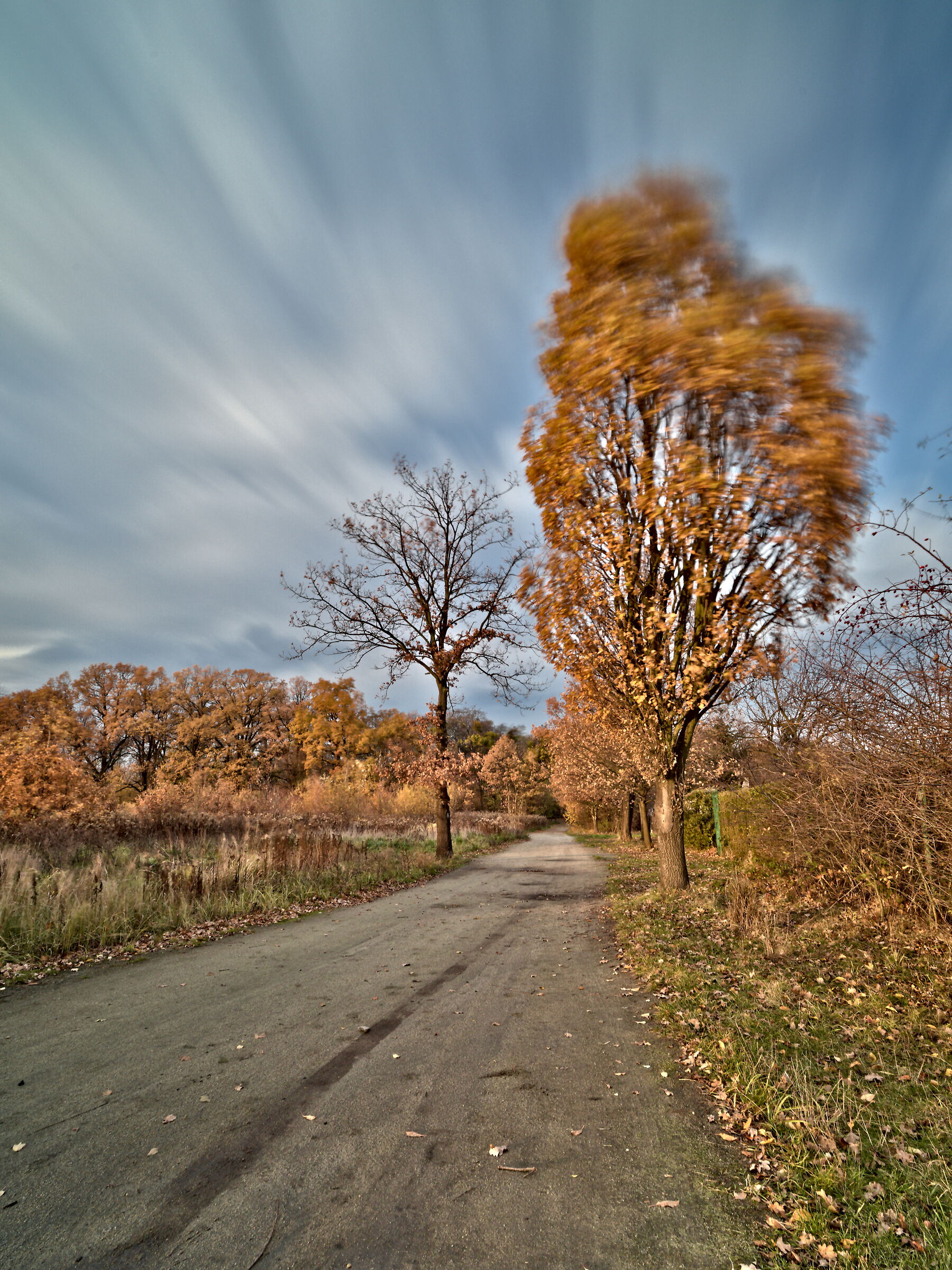 Paesaggio di Wrocàaw
