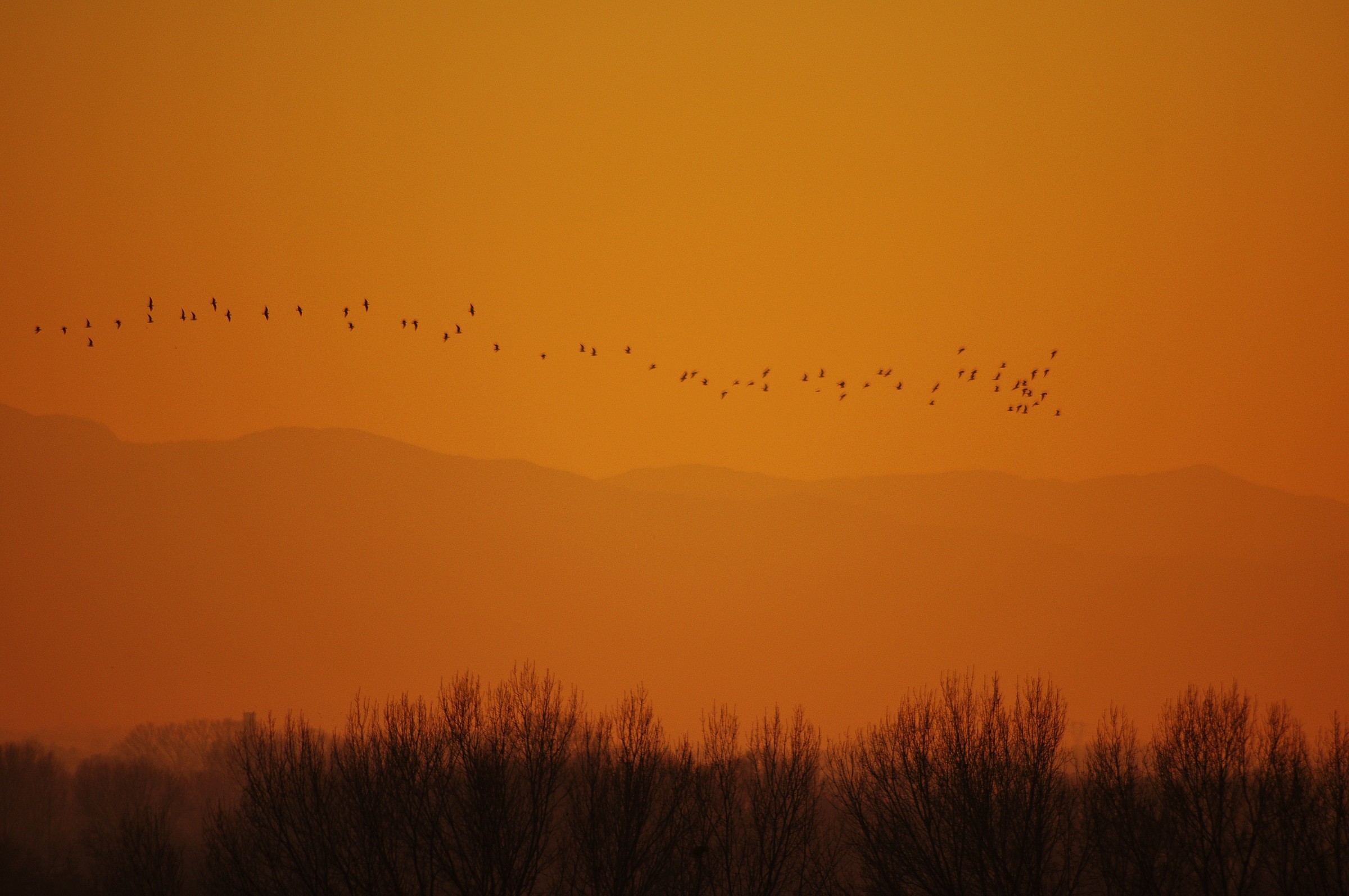 Tramonti nelle terre basse del po
