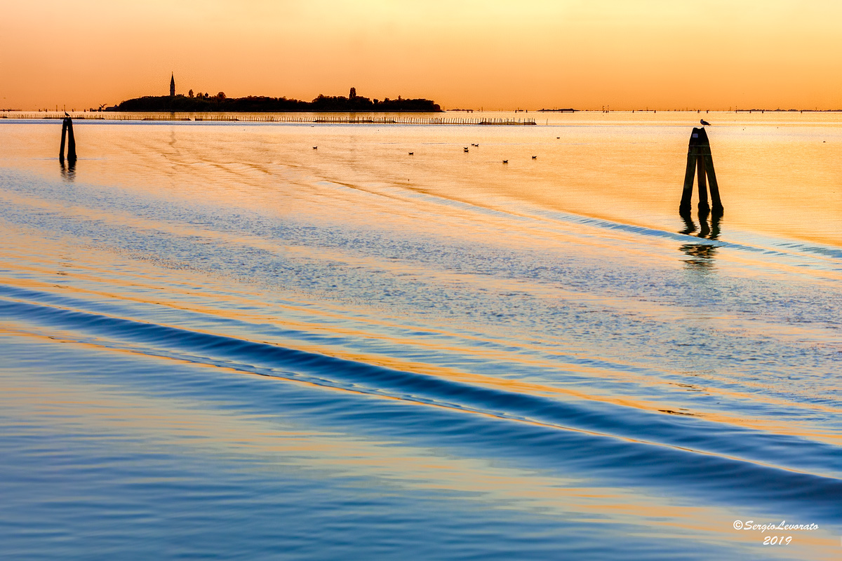 Towards the evening...