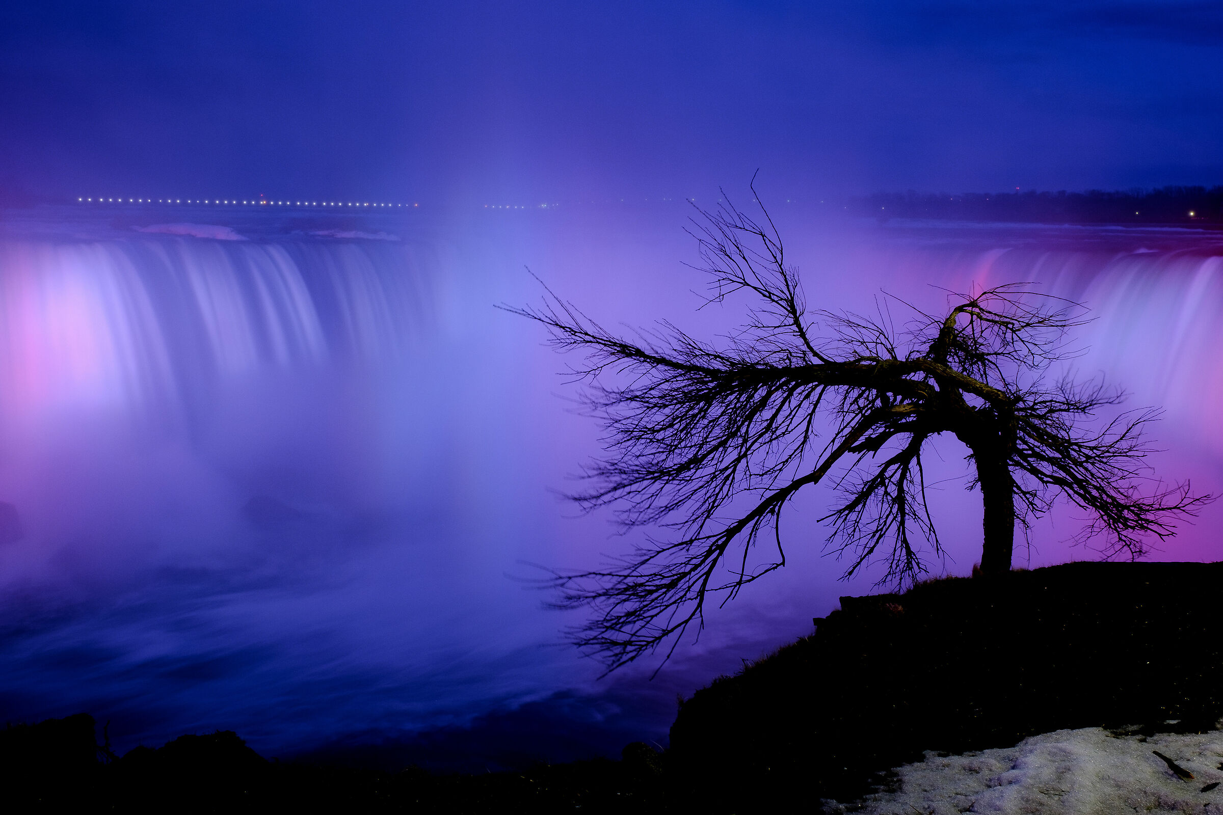 Solitario spettatore