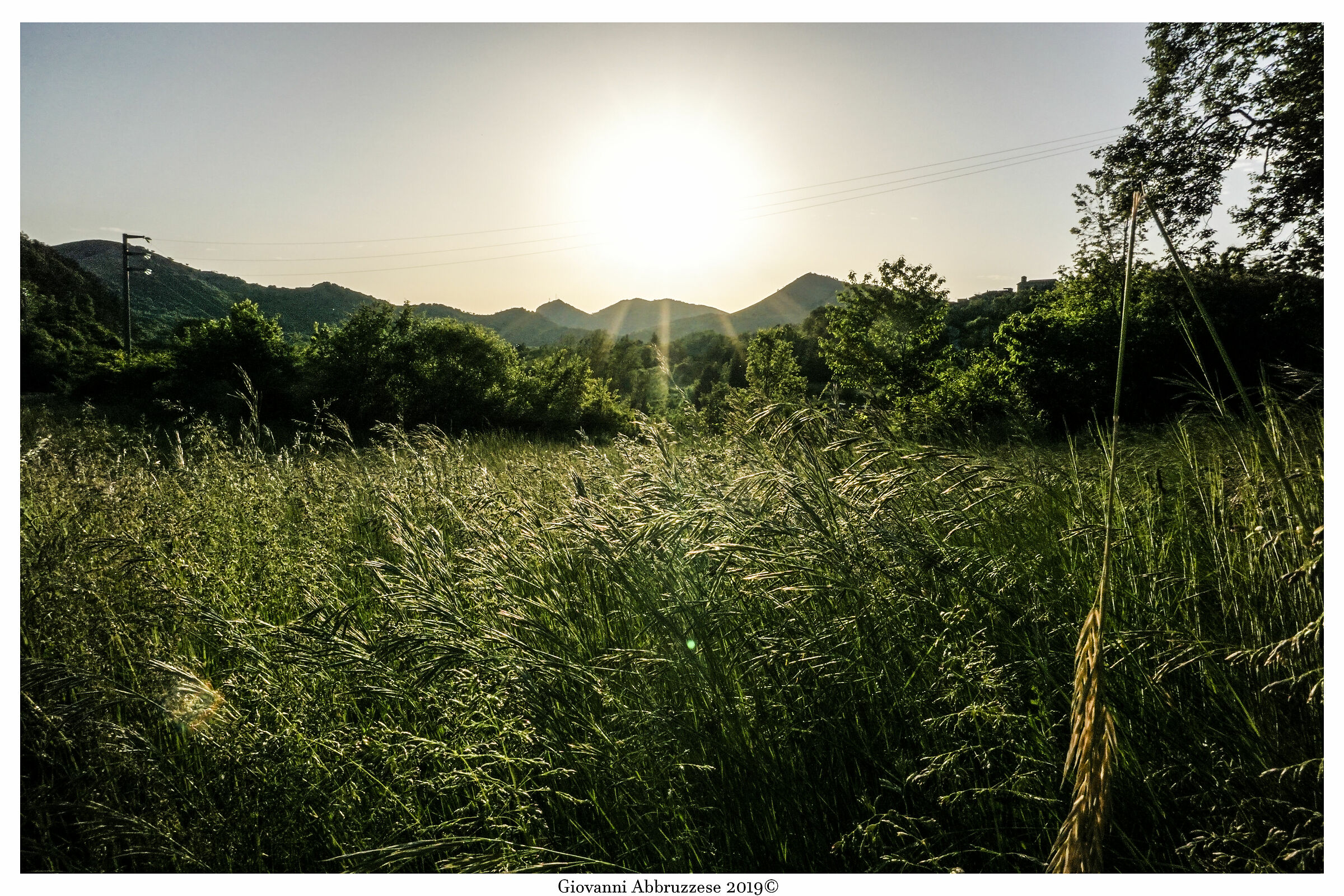 Sogno di mezza estate