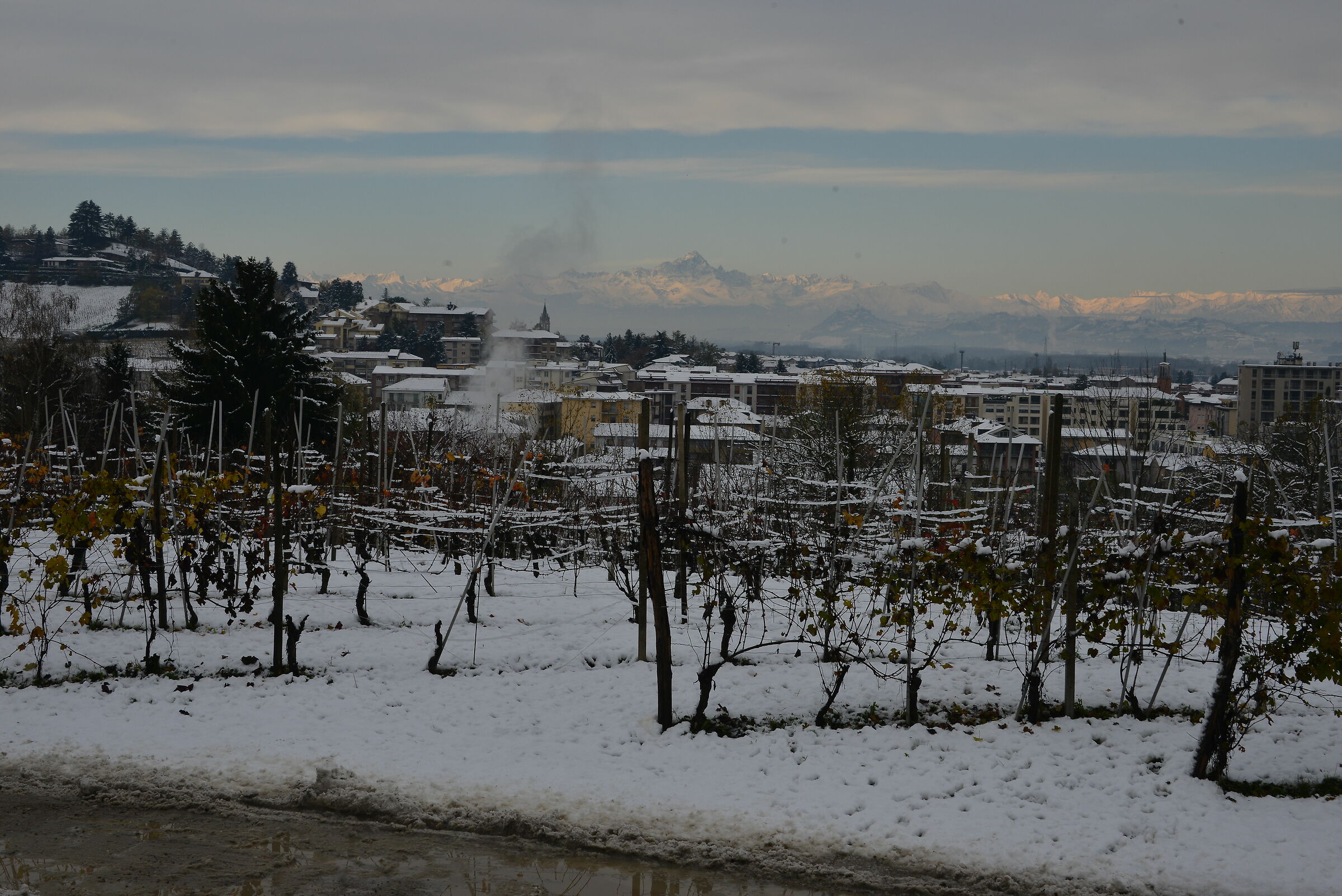 The Monviso after the snowfall