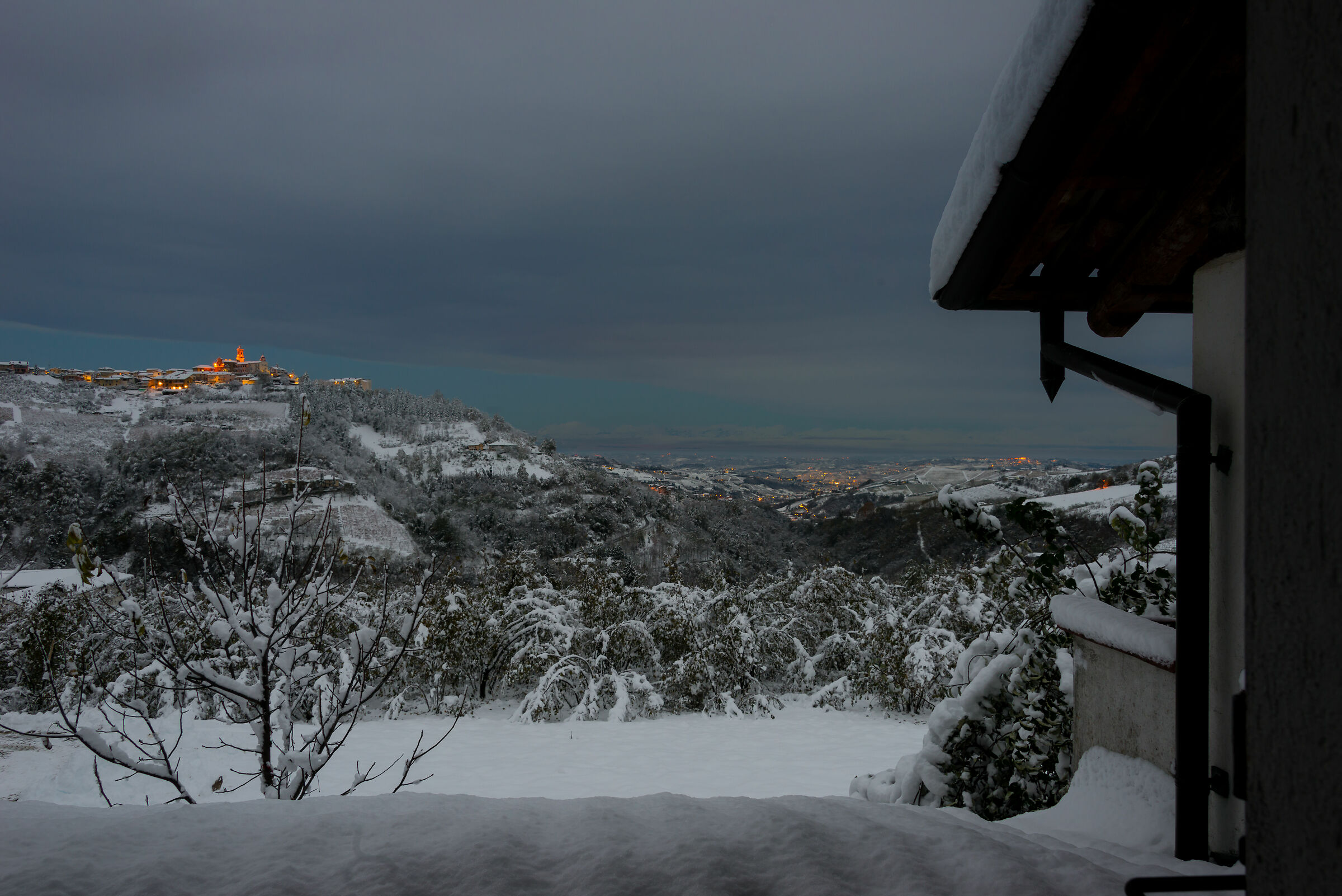 Awakening after the snowfall