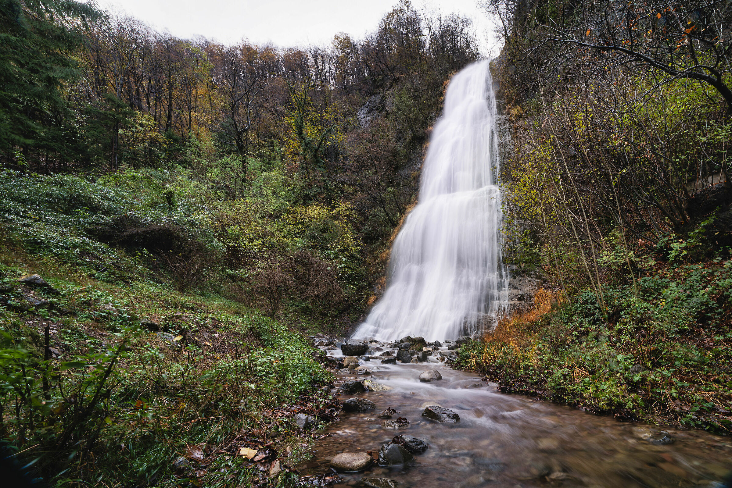 Passeggiate autunnali nella natura