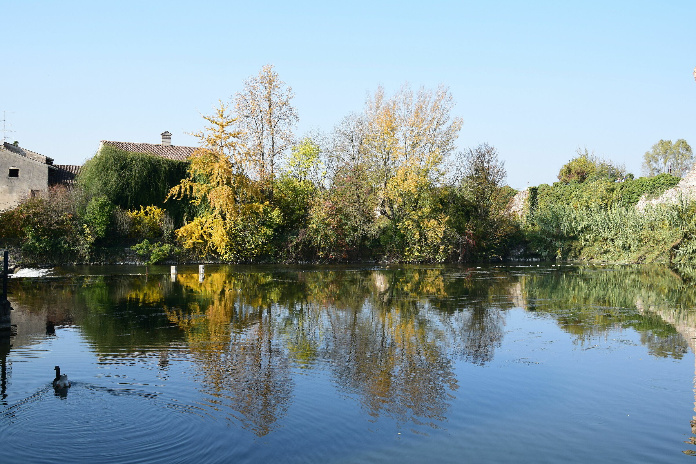 Riflessi a Borghetto