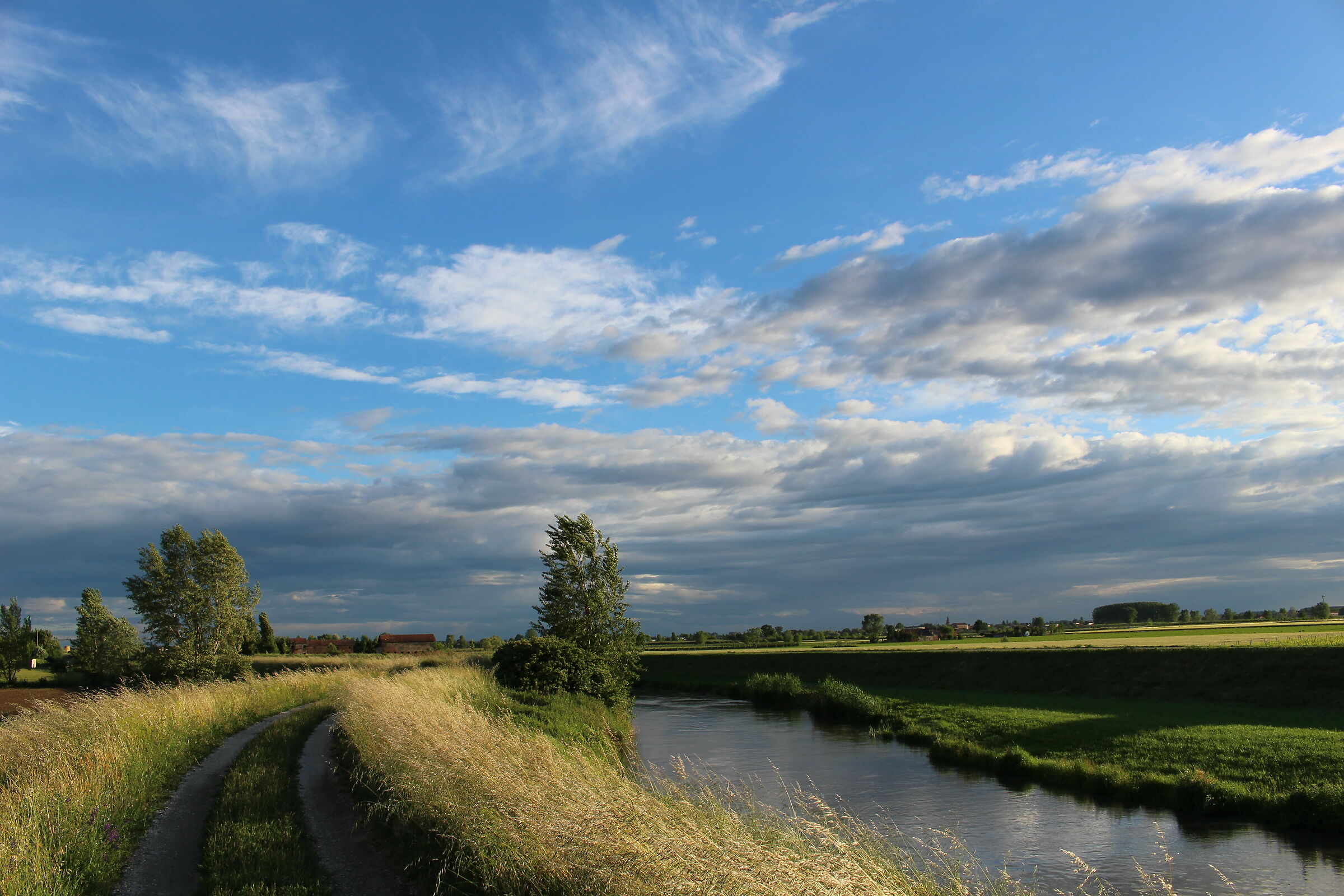 Passeggiata sull'argine