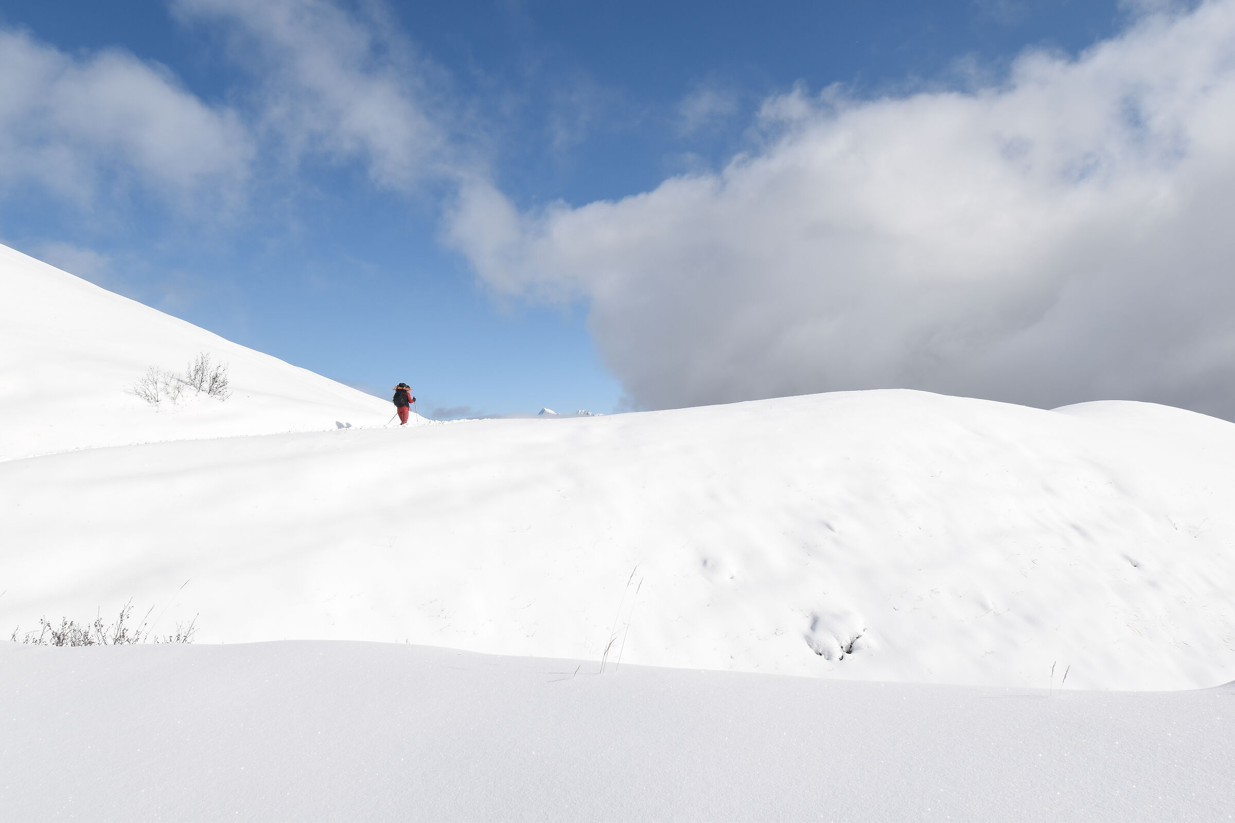 Immersed in the elements