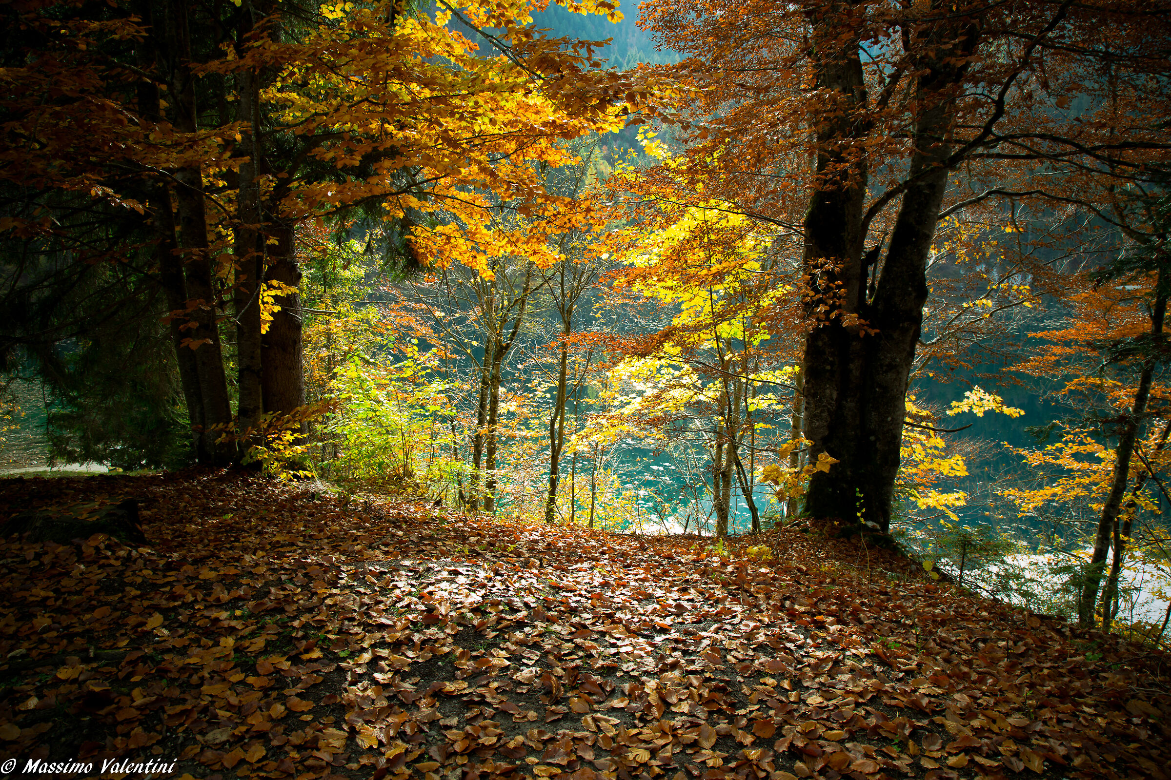 Val di Non - Fall 2019