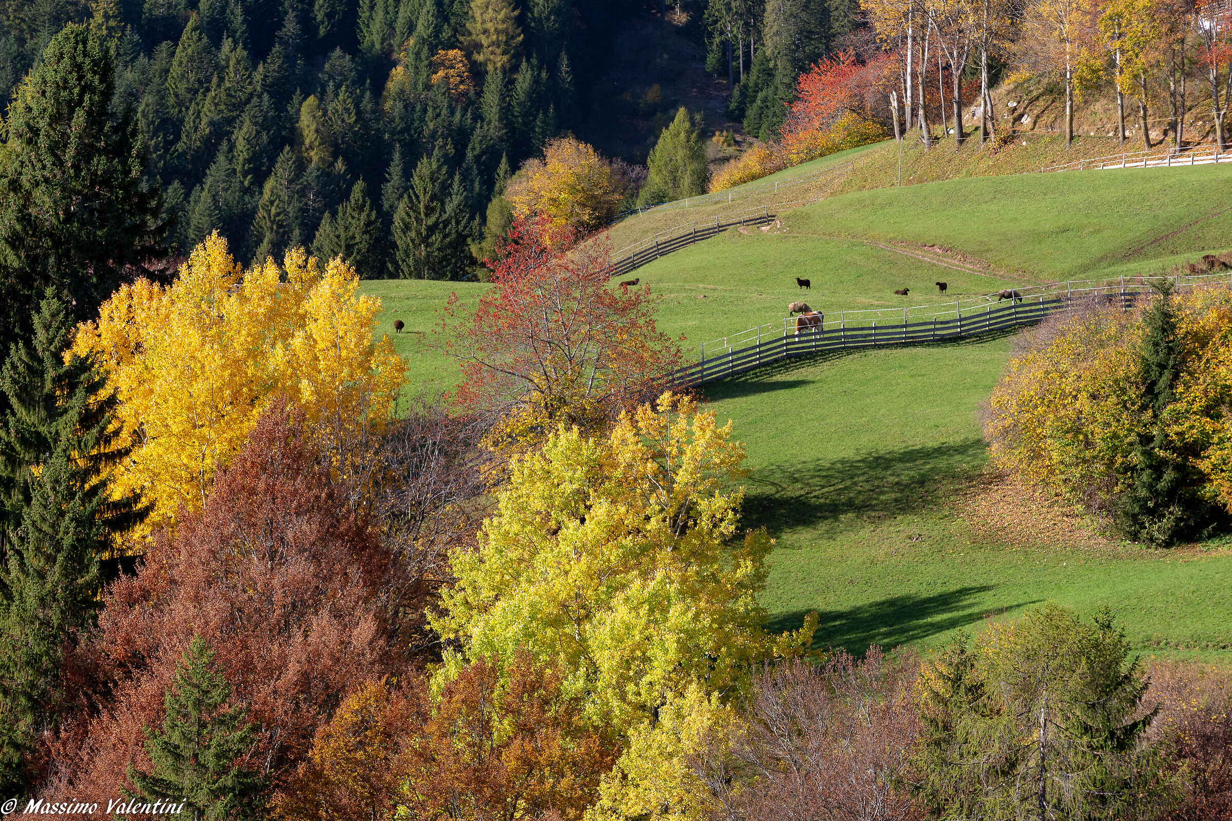 Val di Non - Fall 2019