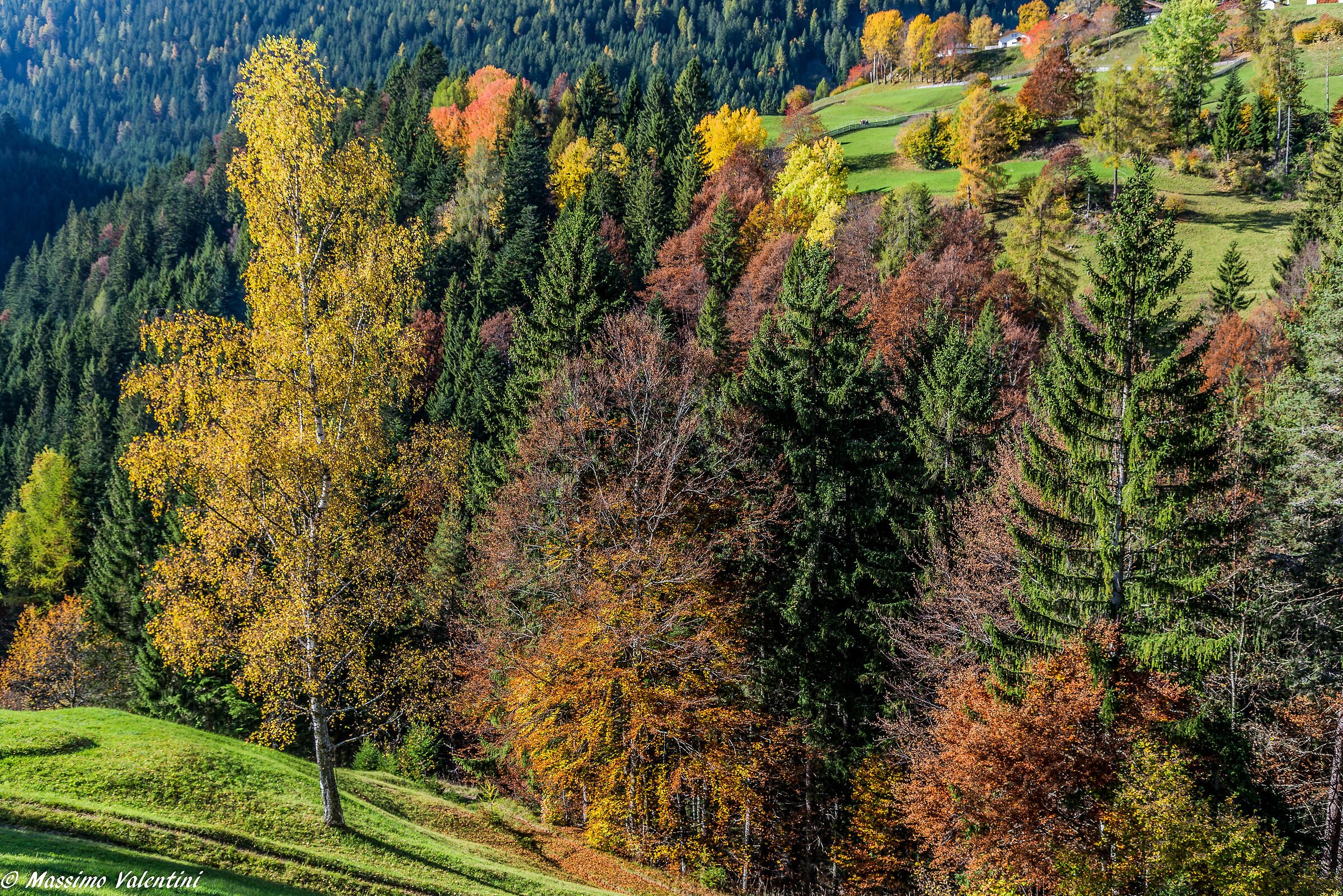 Val di Non - Fall 2019