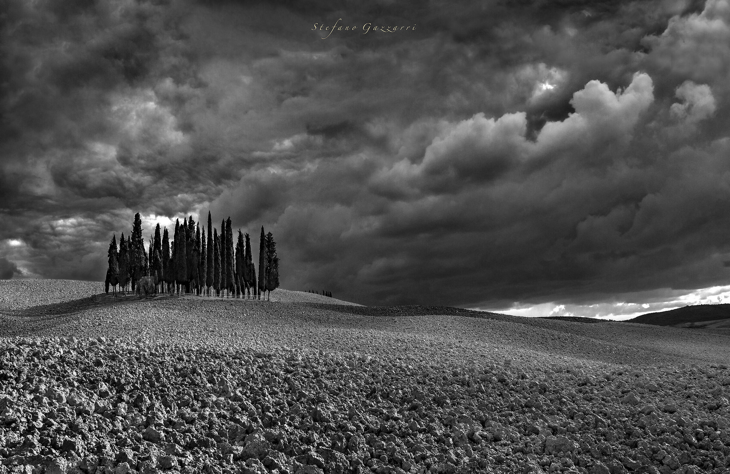 The famous Tuscan cypress trees
