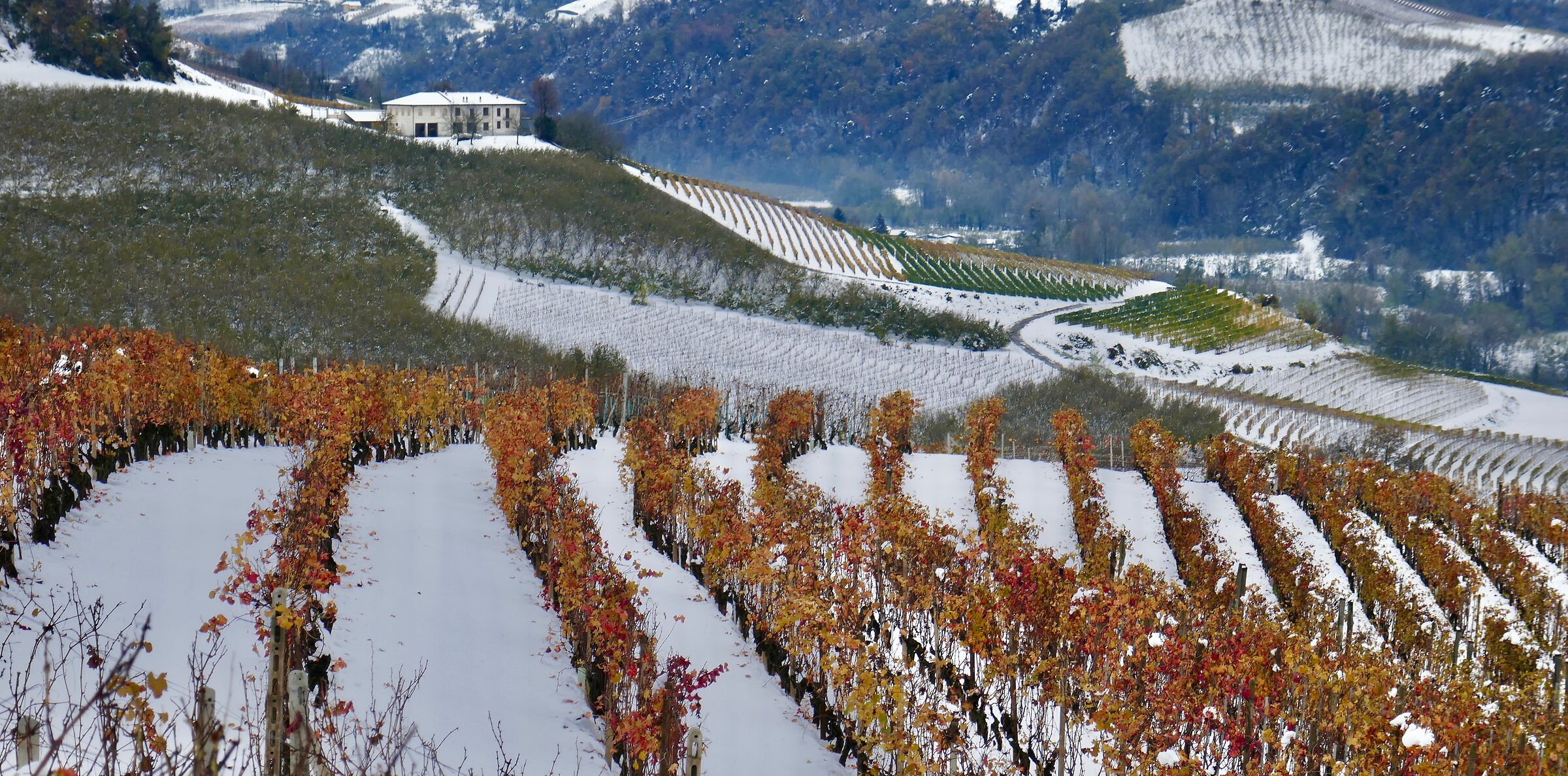 Autunno-Inverno a nozze