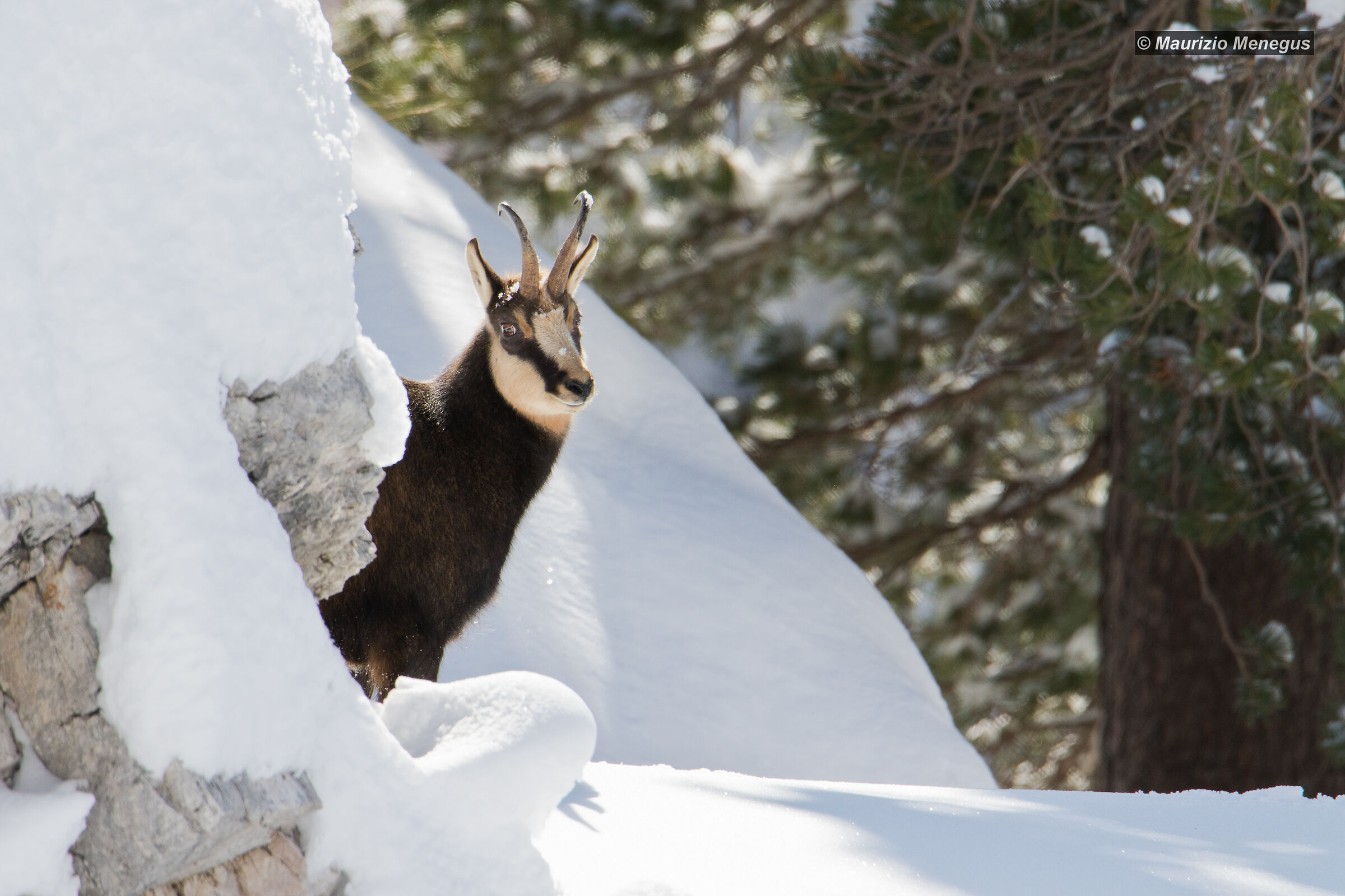 Un' occhiatina al fotografo