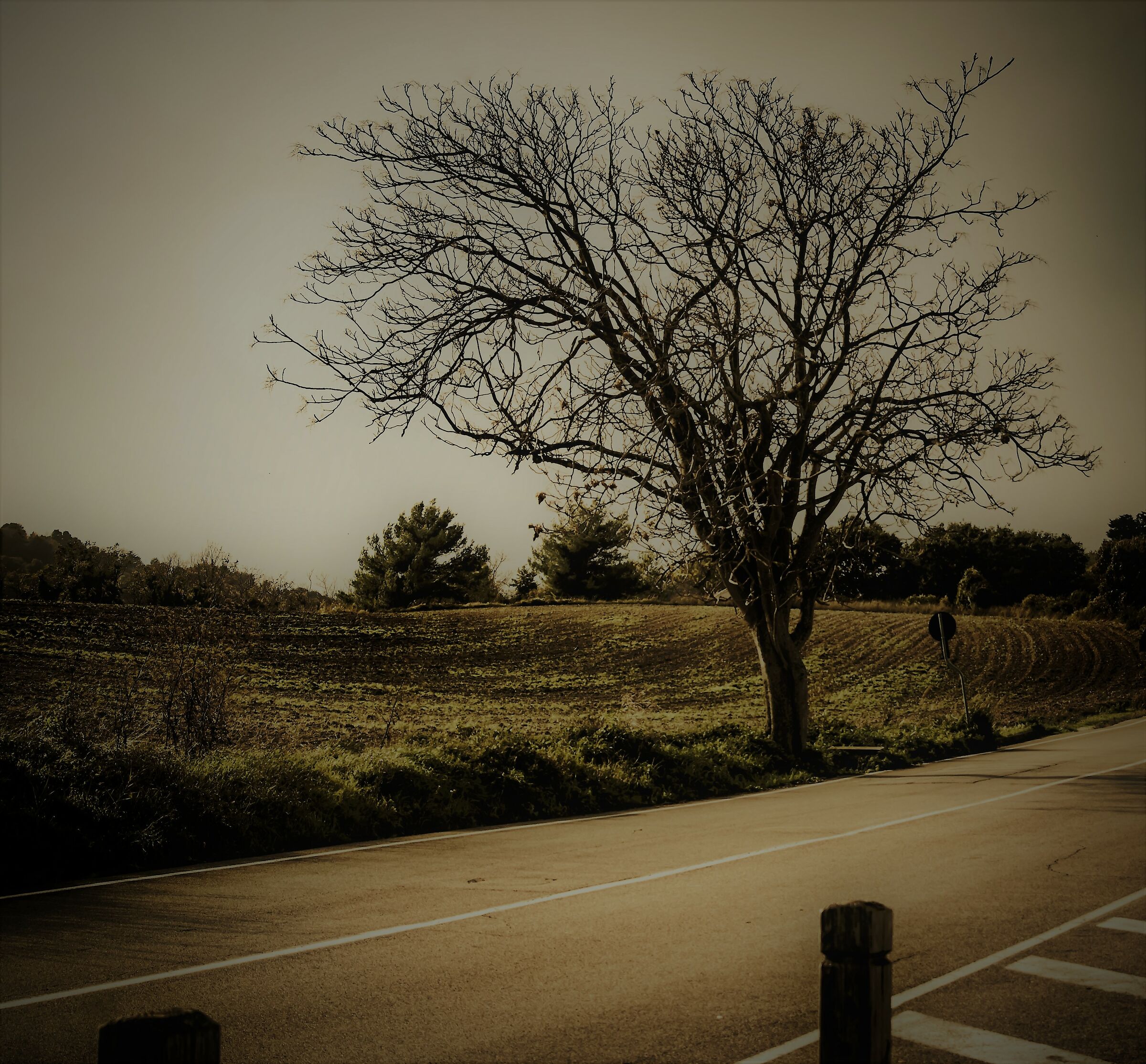 Solitude