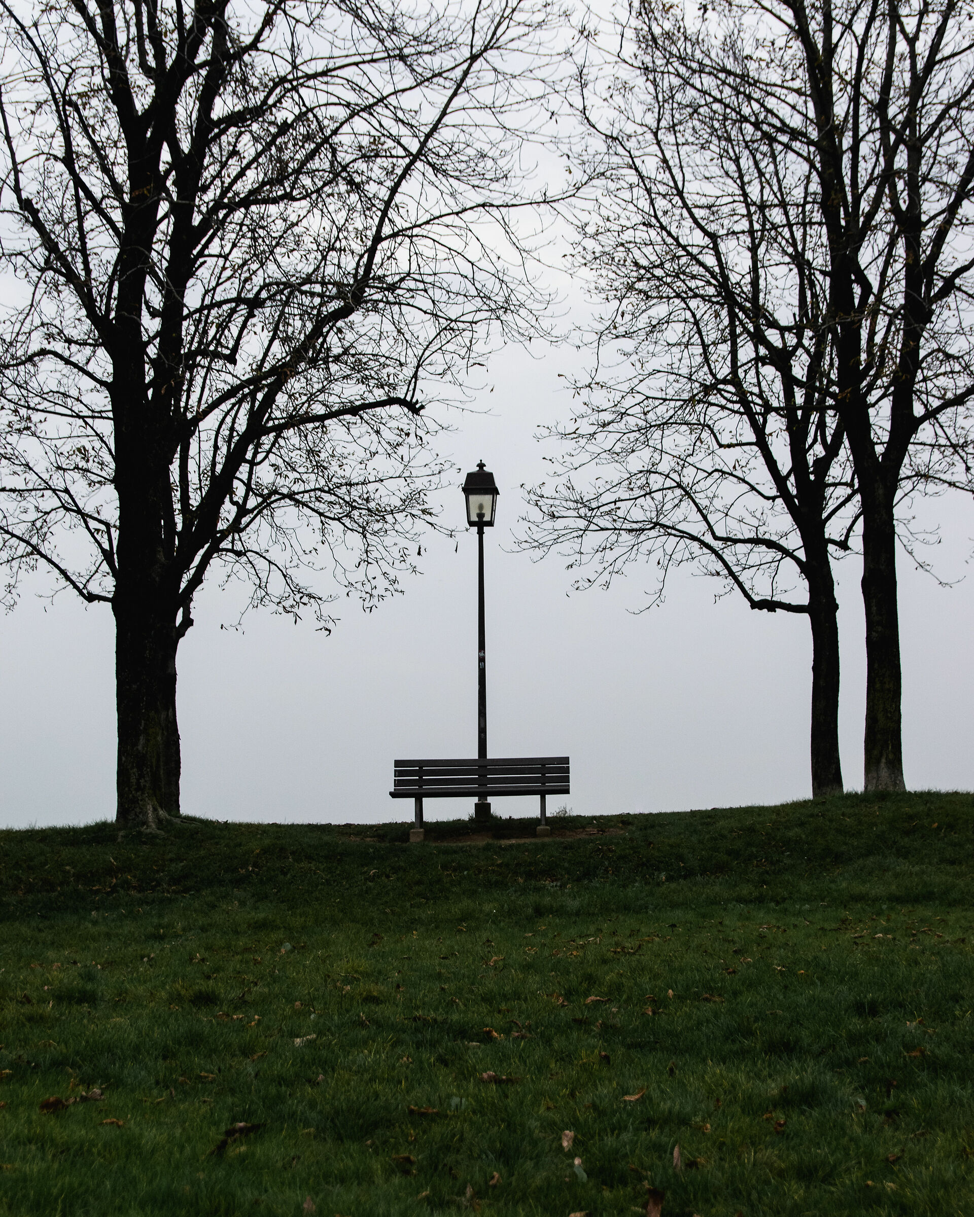Bench on the clouds