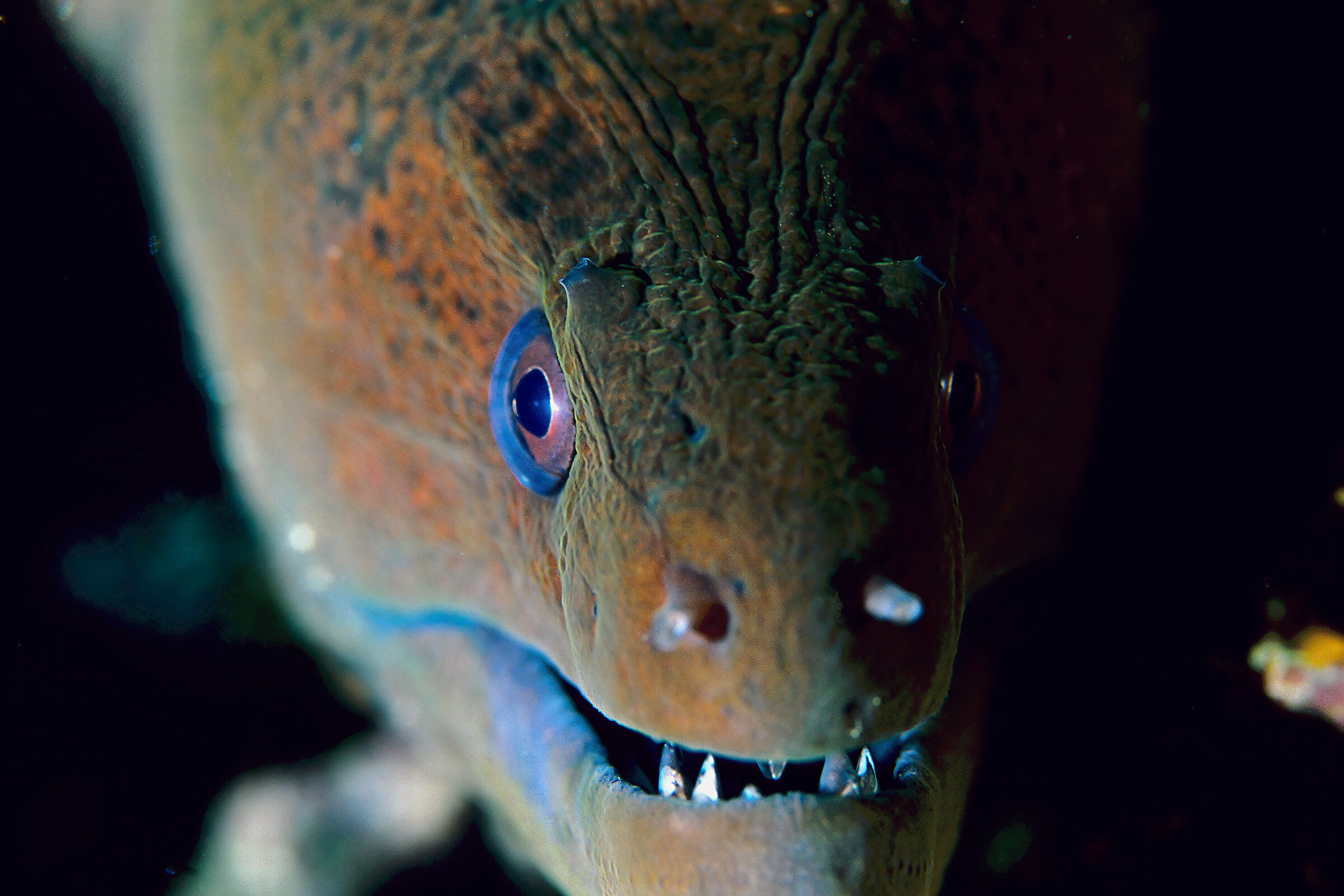 Non ti avvicinare di piu'