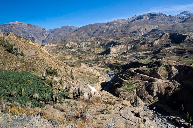 Cañón Del Colca