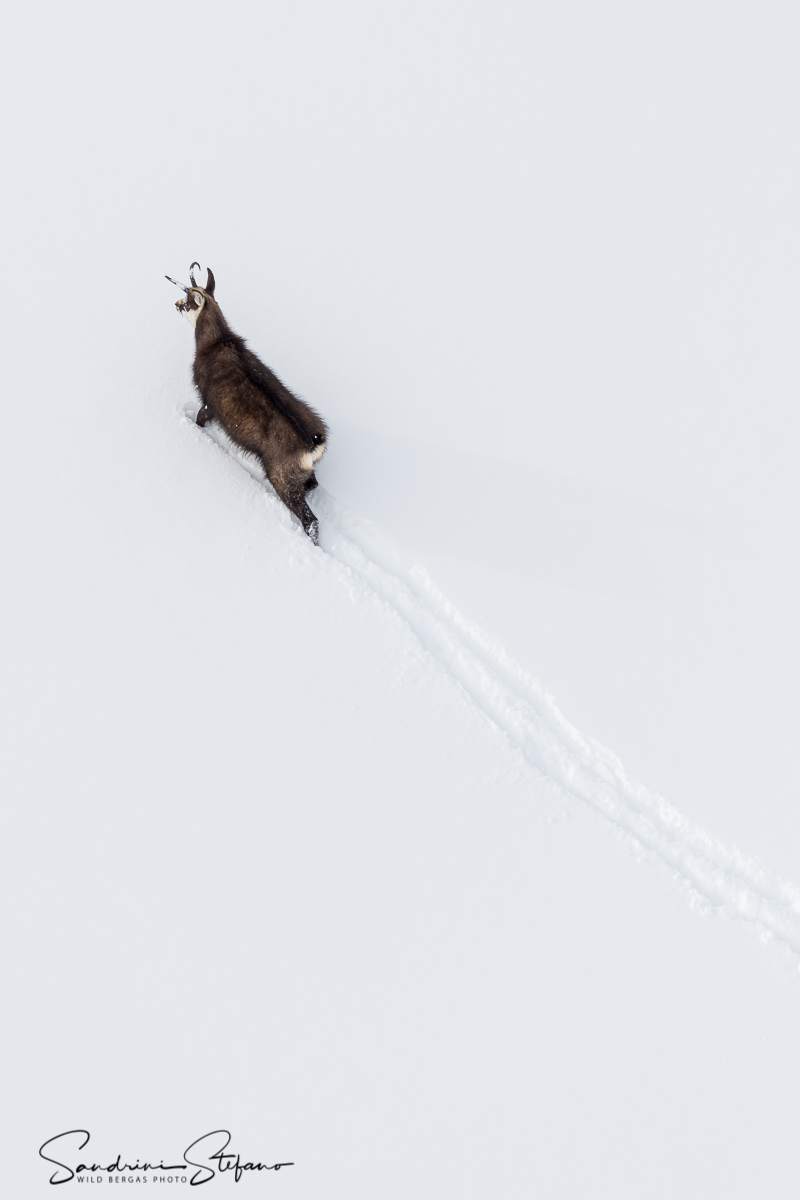 Verso un lungo inverno