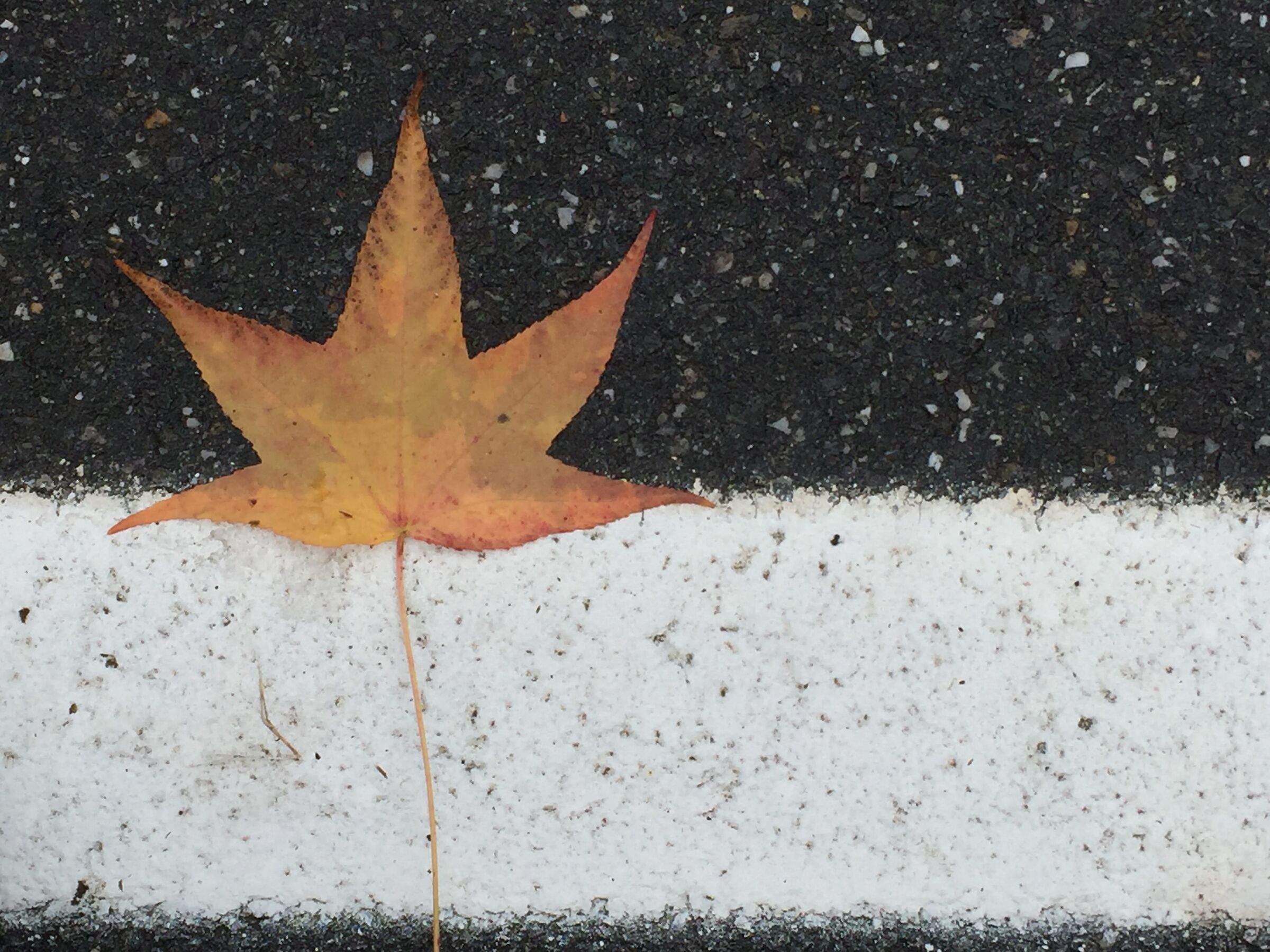 Between black and white