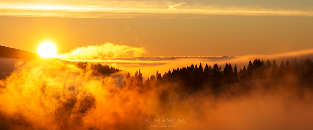 Nel silenzio dell'alba