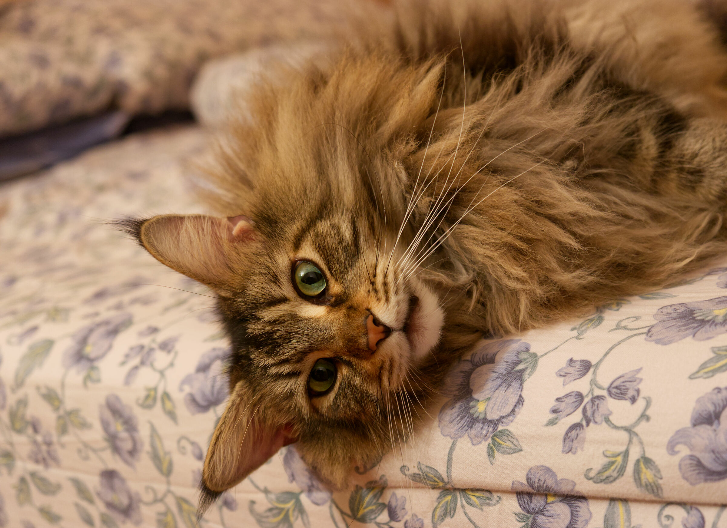 Every morning the same story