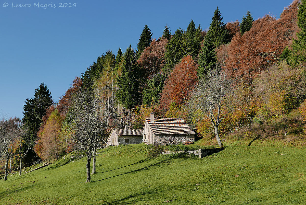Stones and foliage
