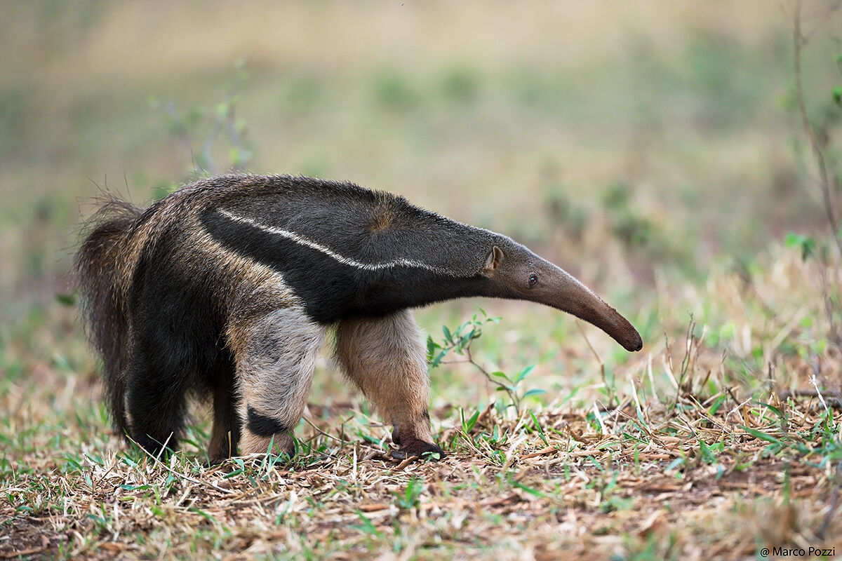 What a nice profile!!
