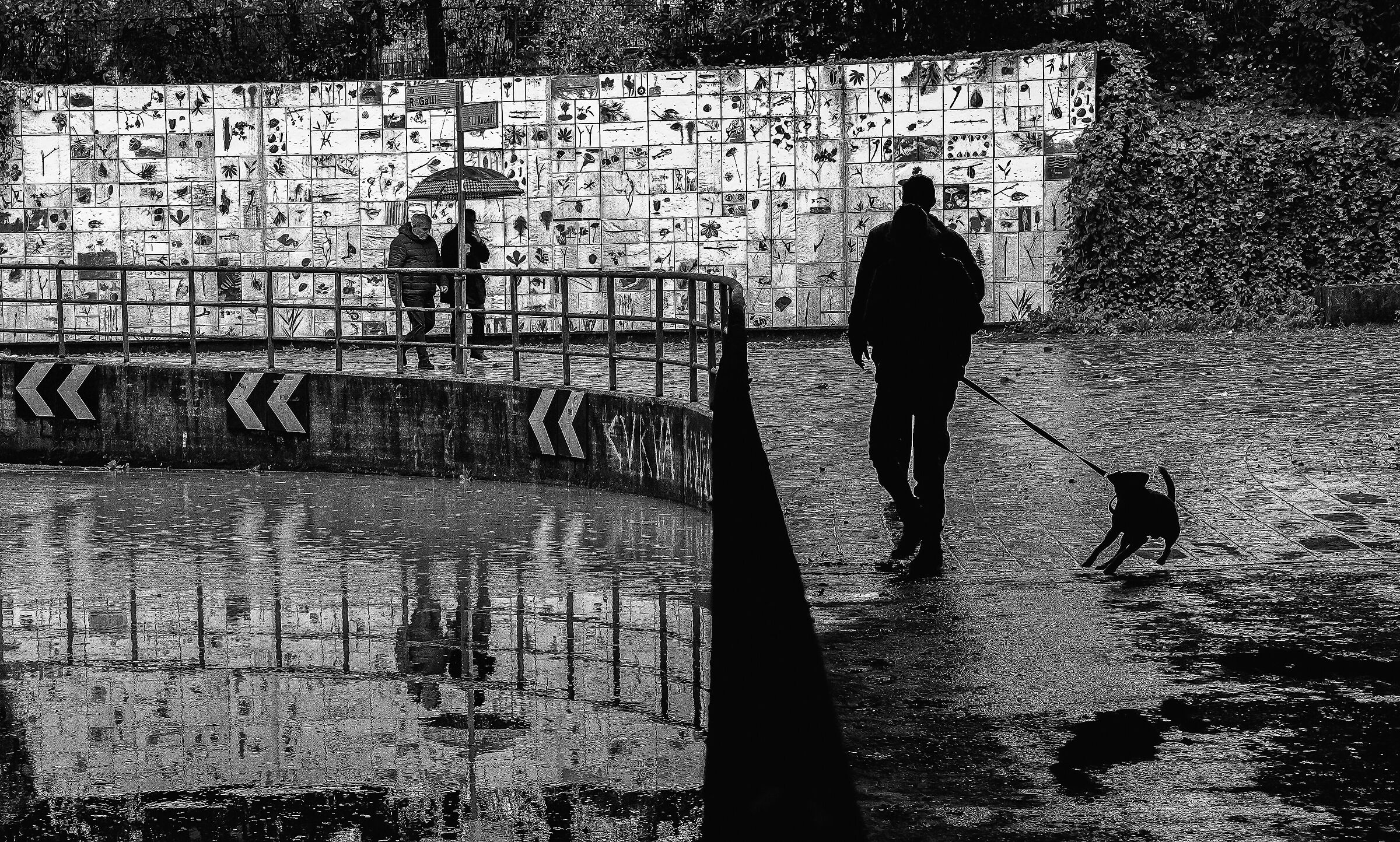 Parco delle Acque , Imola