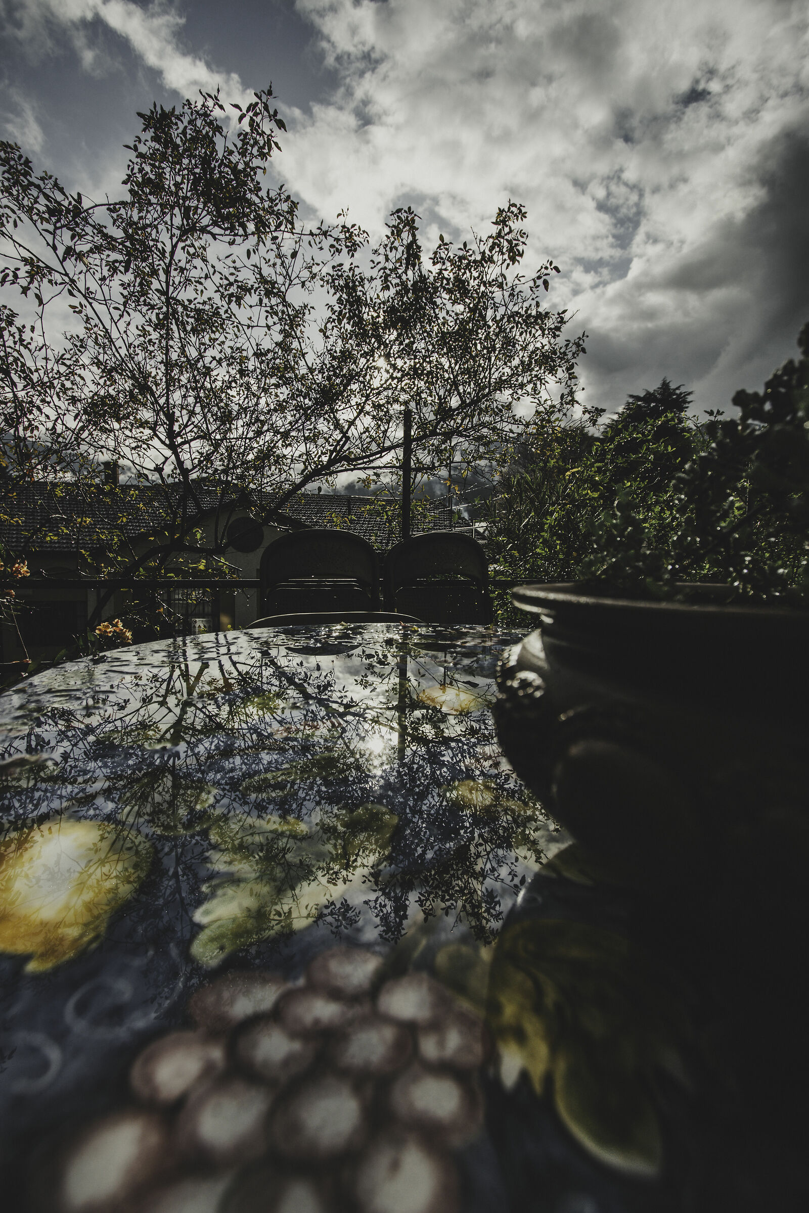 Dopo la pioggia... (1)