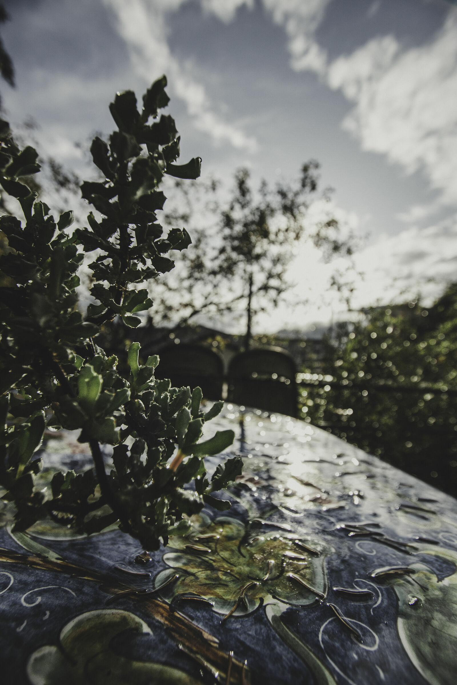 Dopo la pioggia... (2)