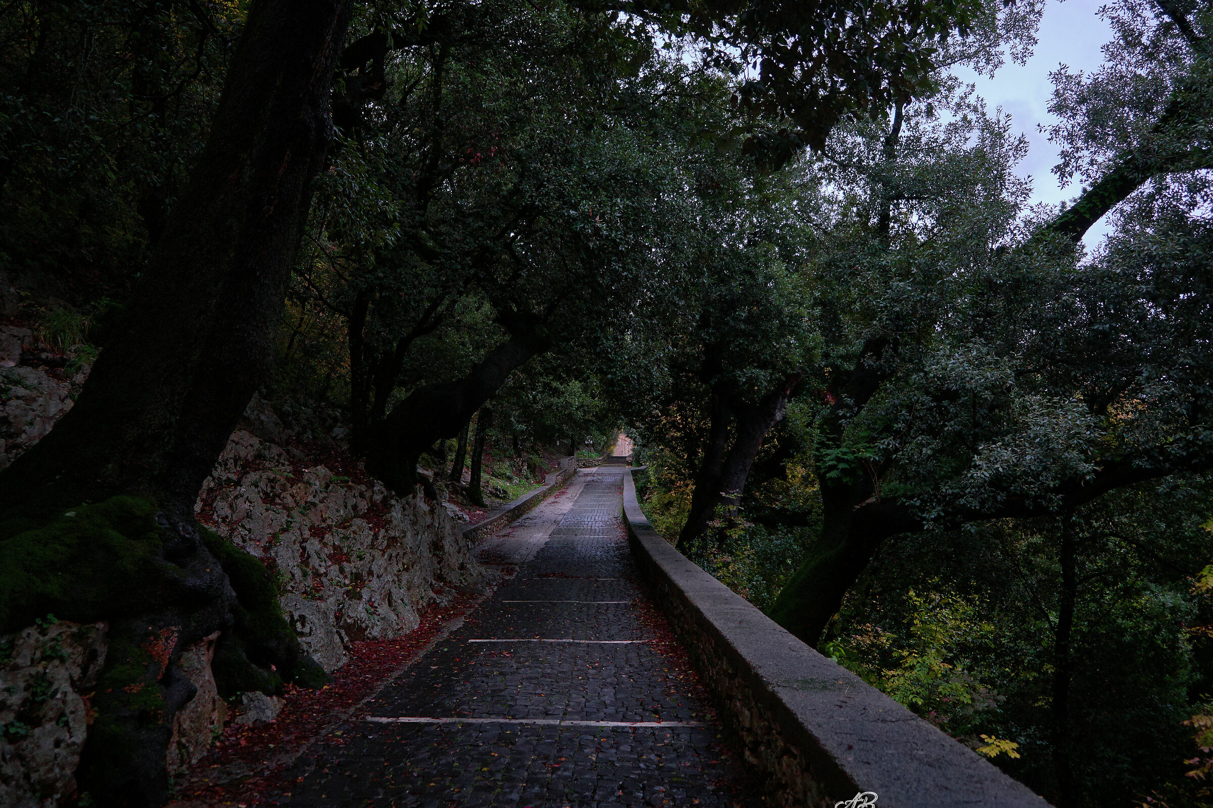Subiaco Monastery Walk