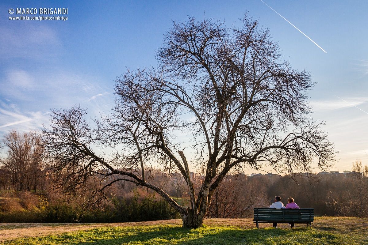 Pomeriggio d'inverno