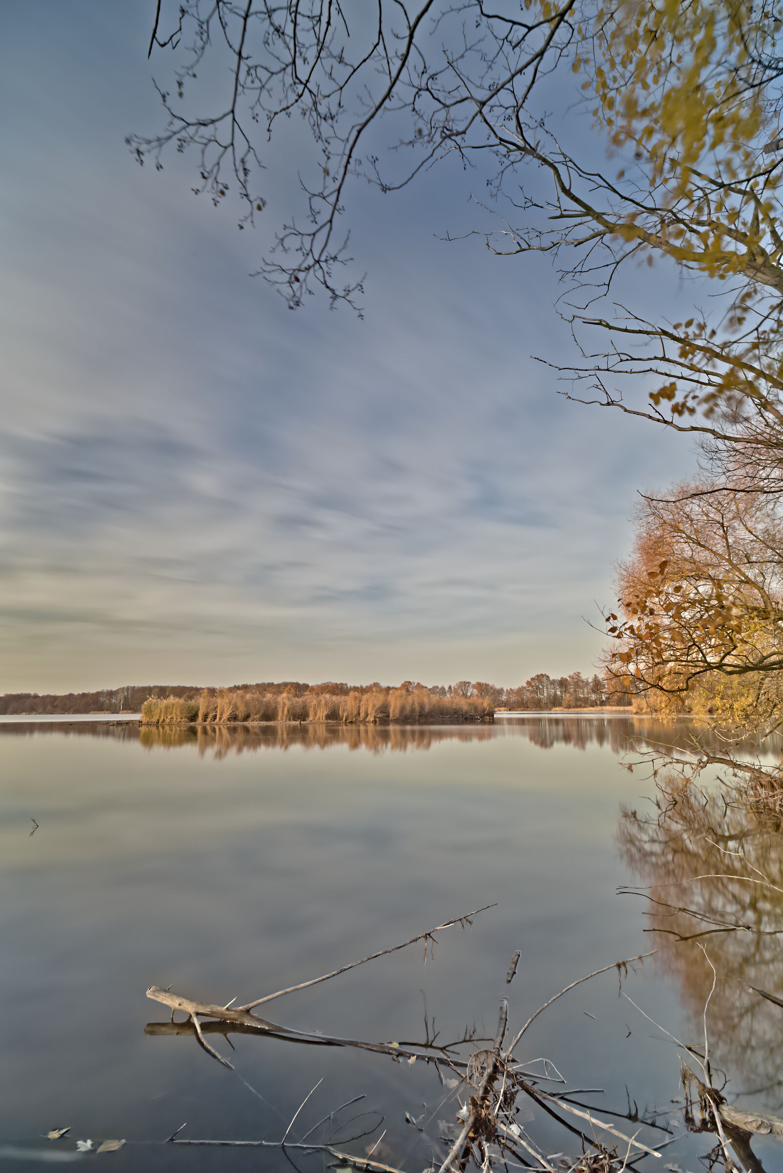 Gli stagni di Milicz