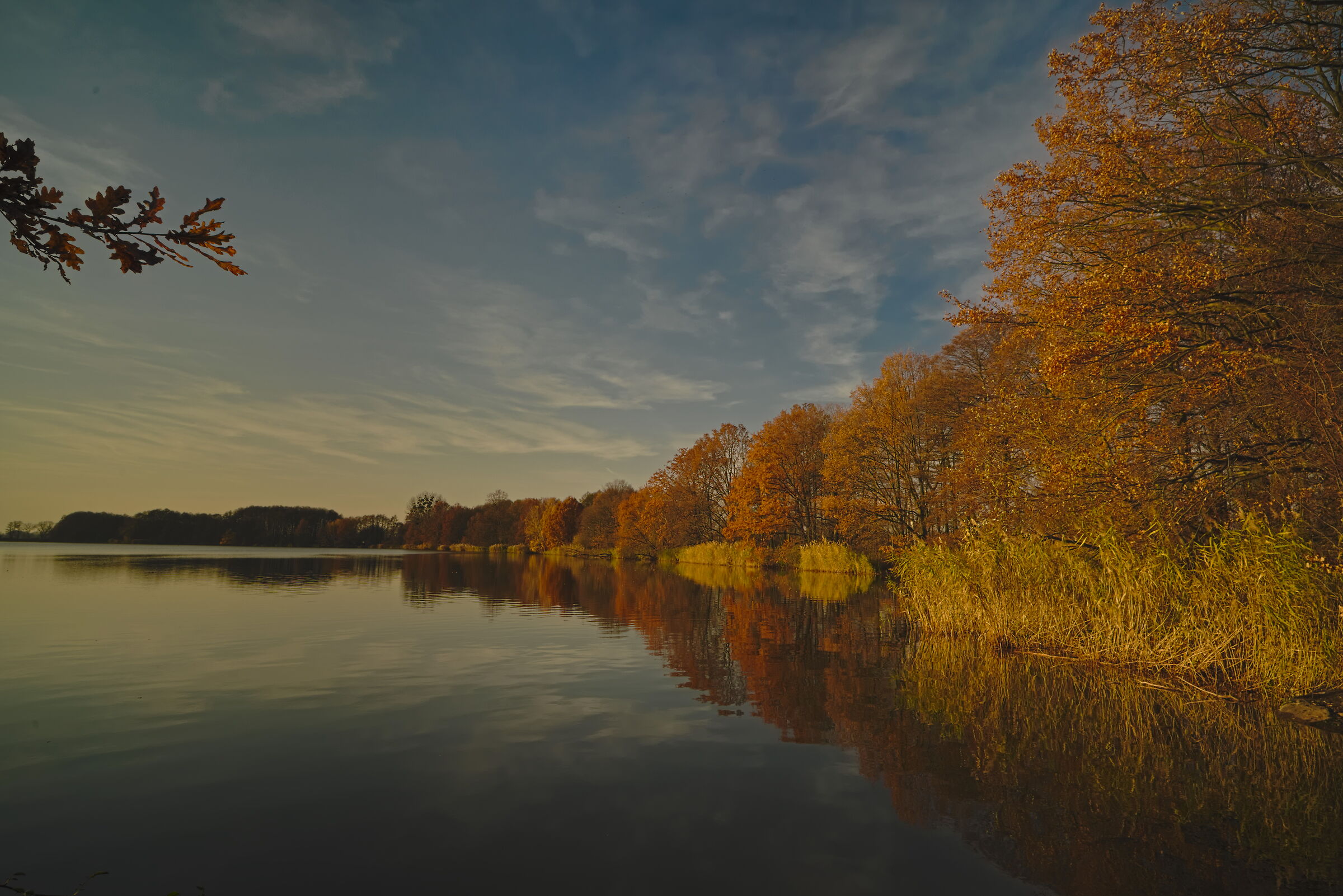 Gli stagni a Milicz 2