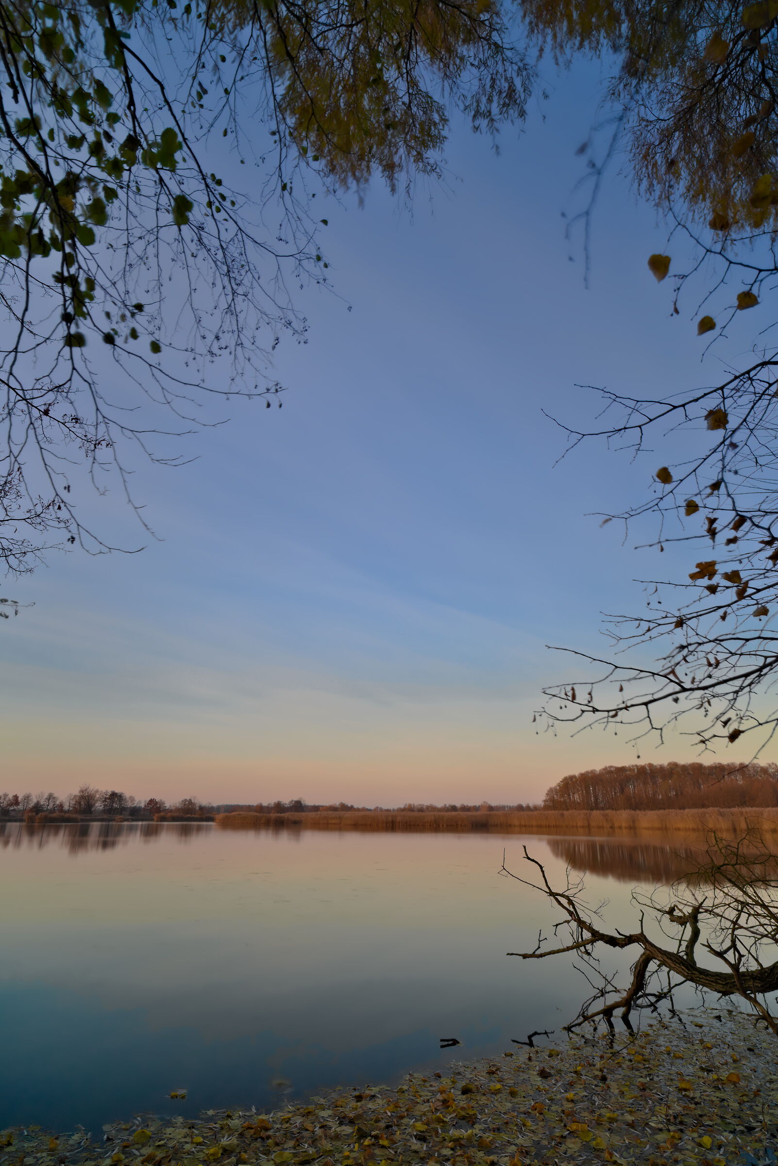 Gli stagni di Milicz
