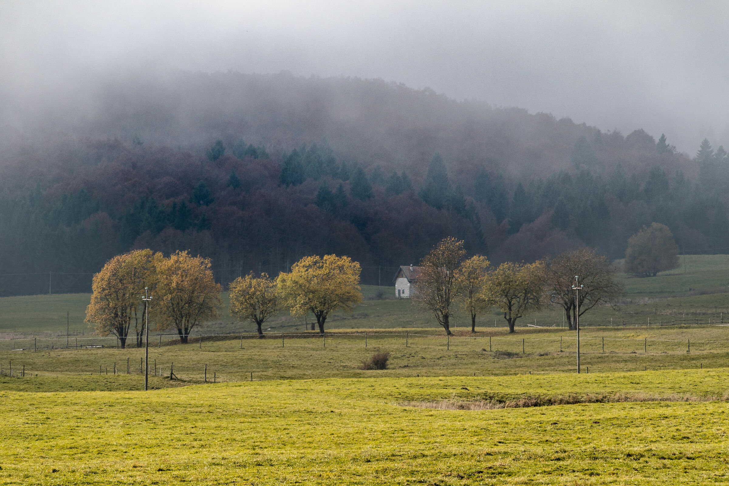 Autumn mountain