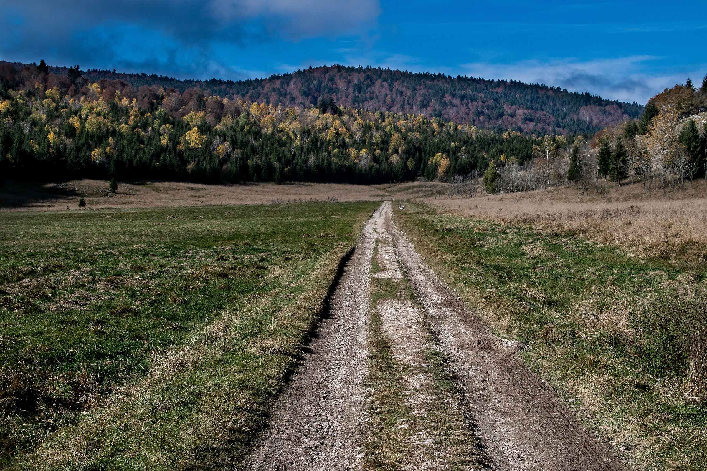 Autumn mountain