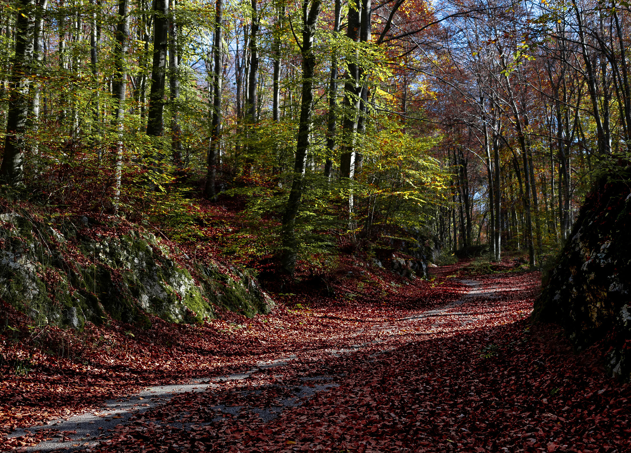 Autumn mountain