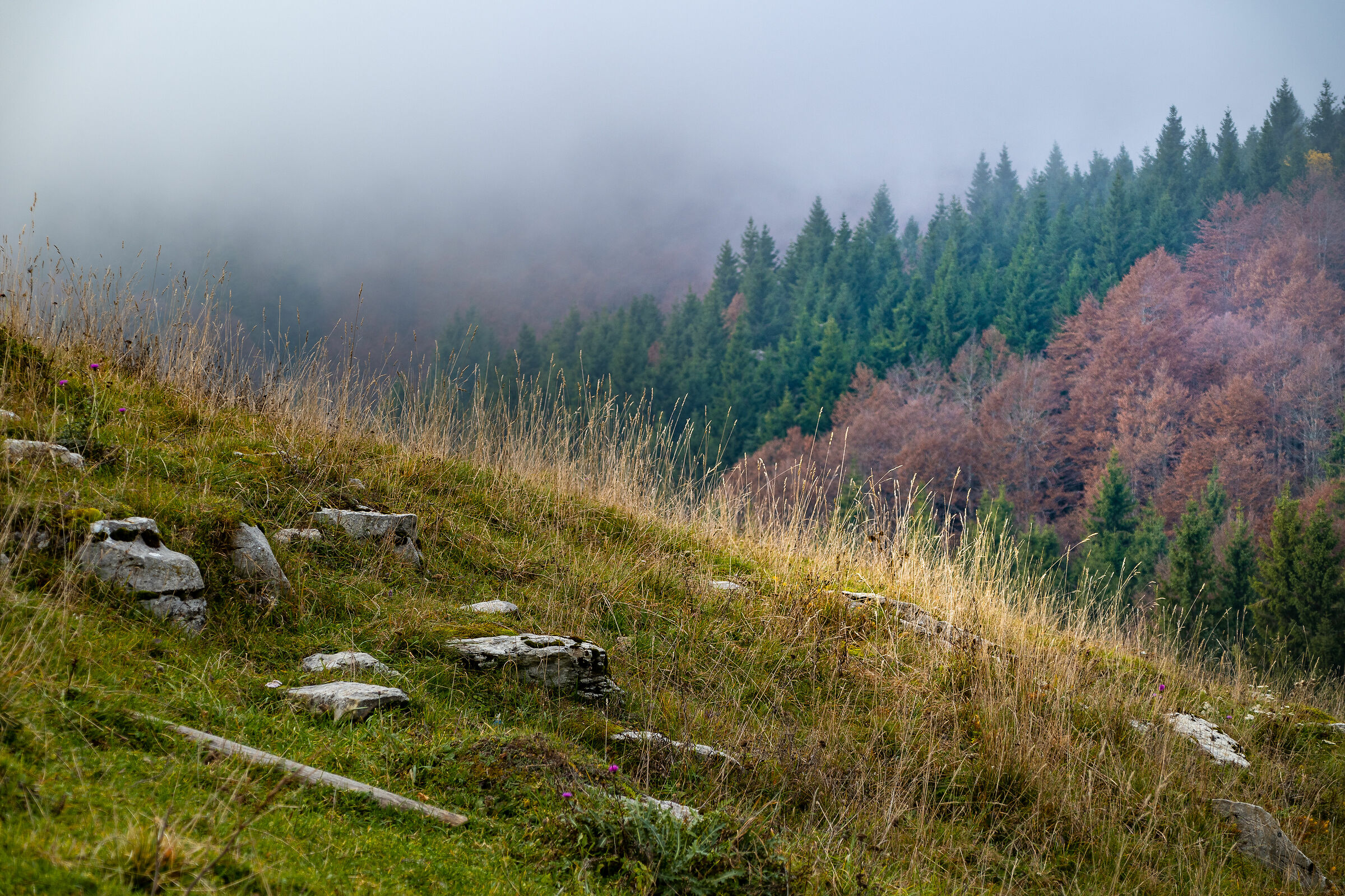 Autumn mountain