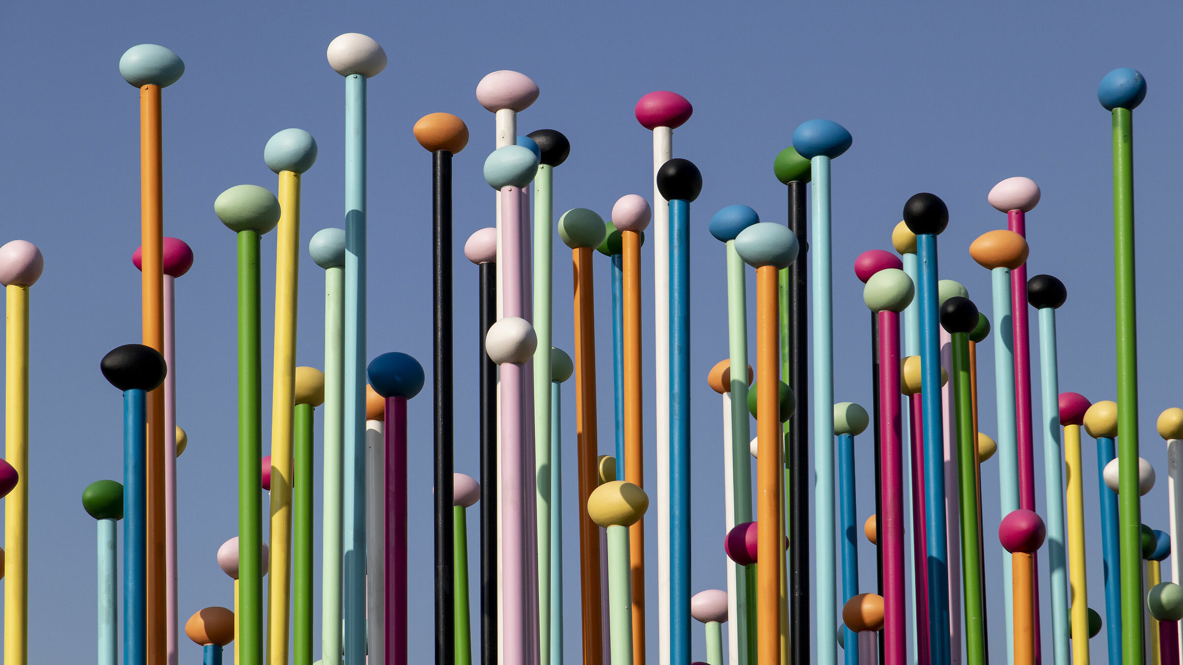 The colors city life