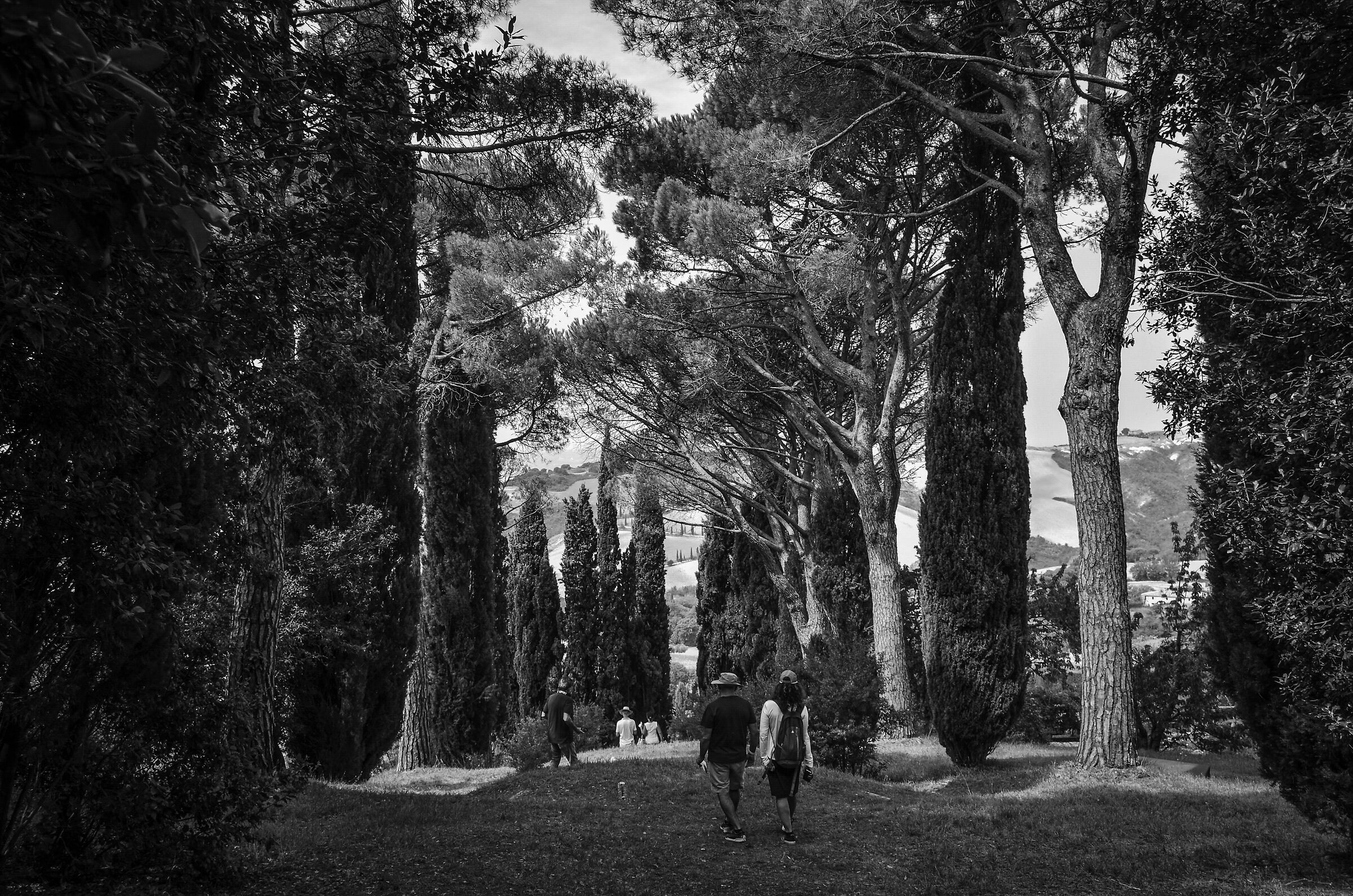 Passeggiata nei boschi