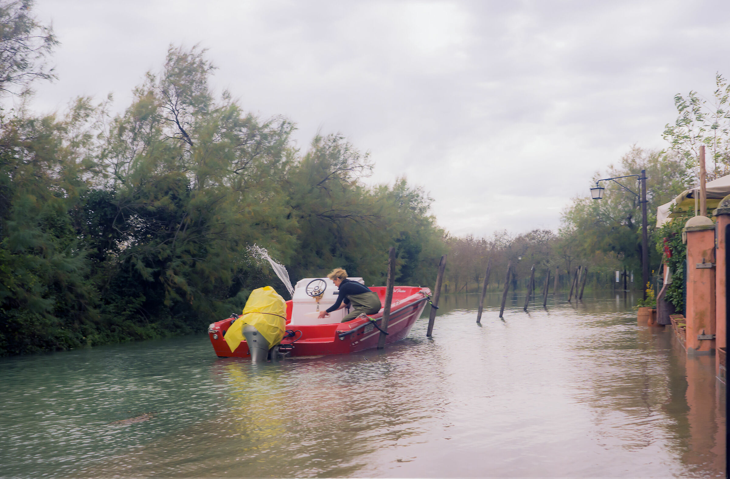 Alta marea 15-11-2019