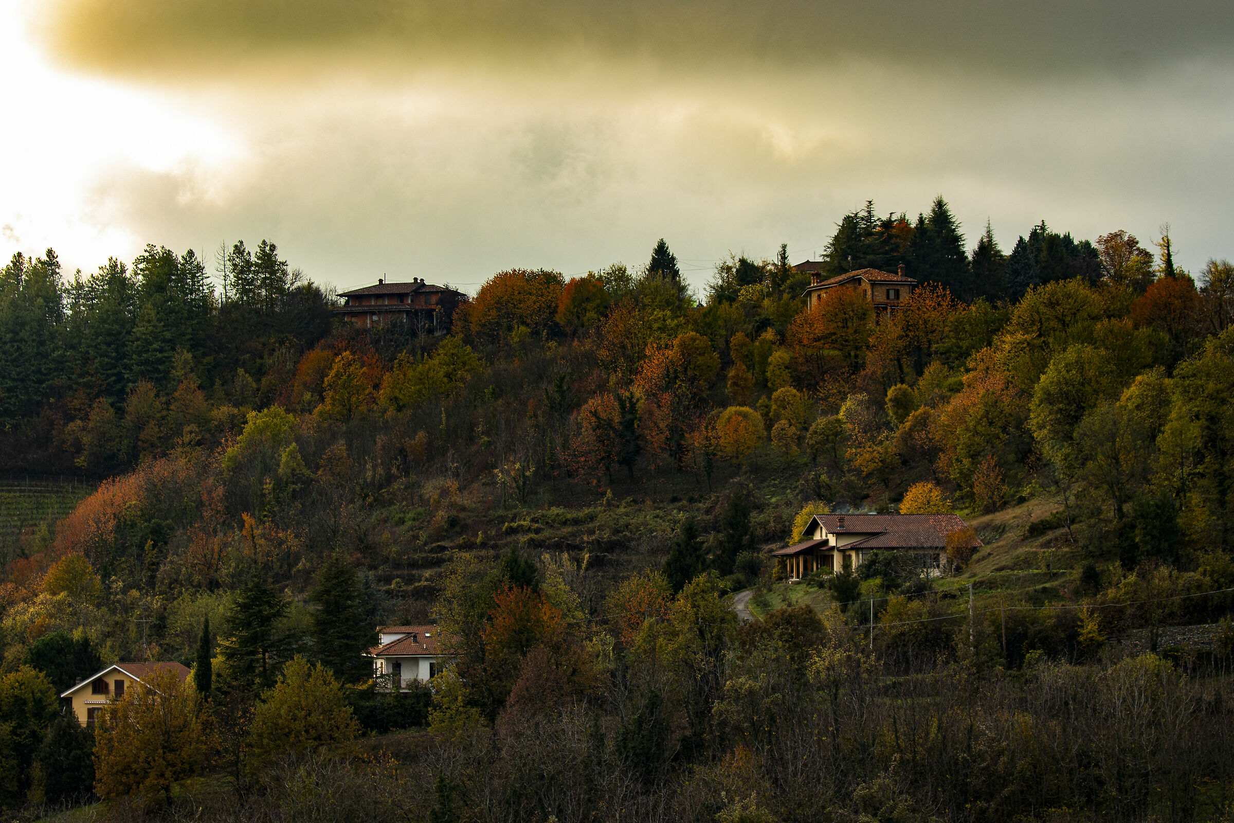 The House in the Woods