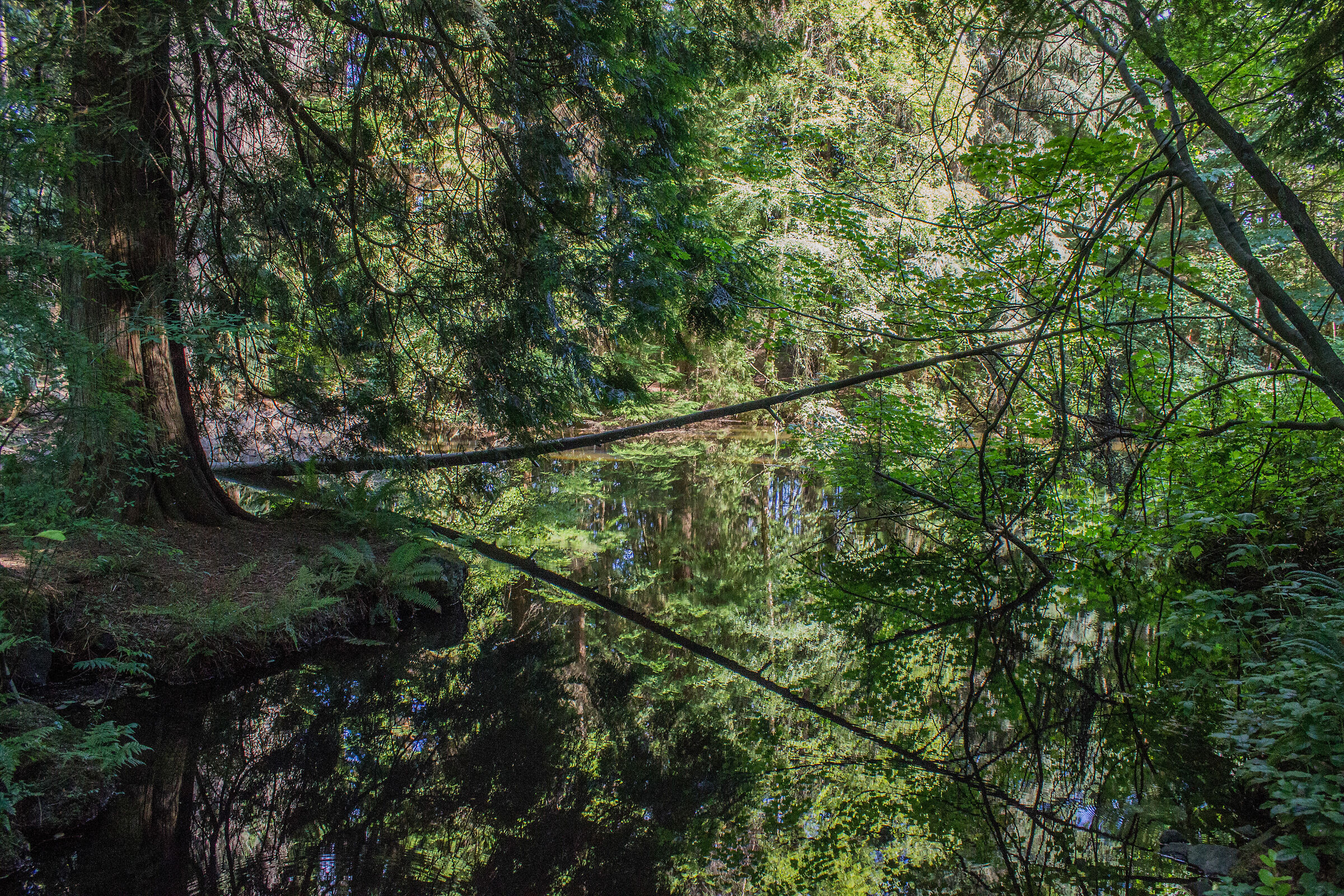 Stanley Park - Vancouver